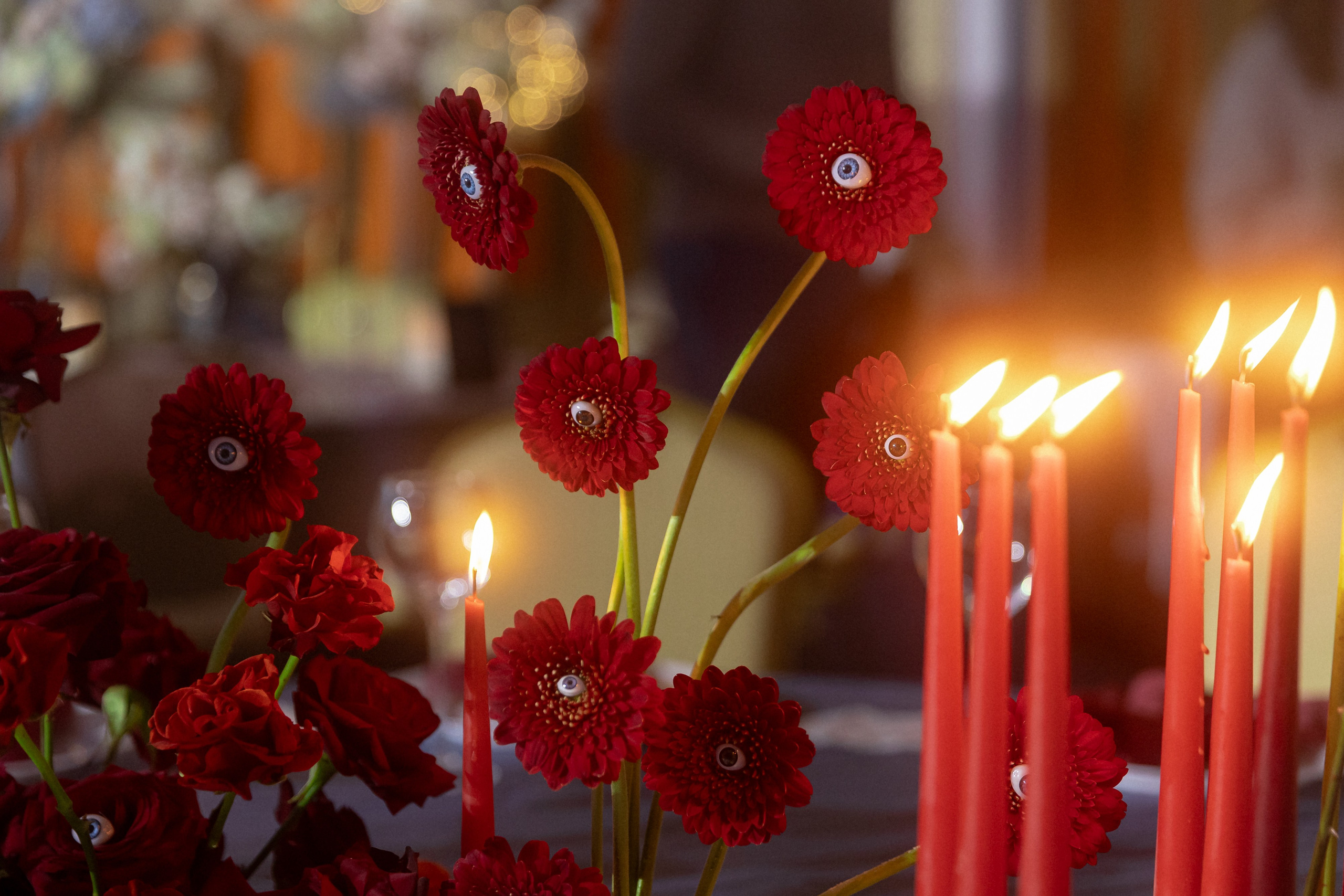 Полезная Party 2024. Свадебный фотограф Колесников Антон