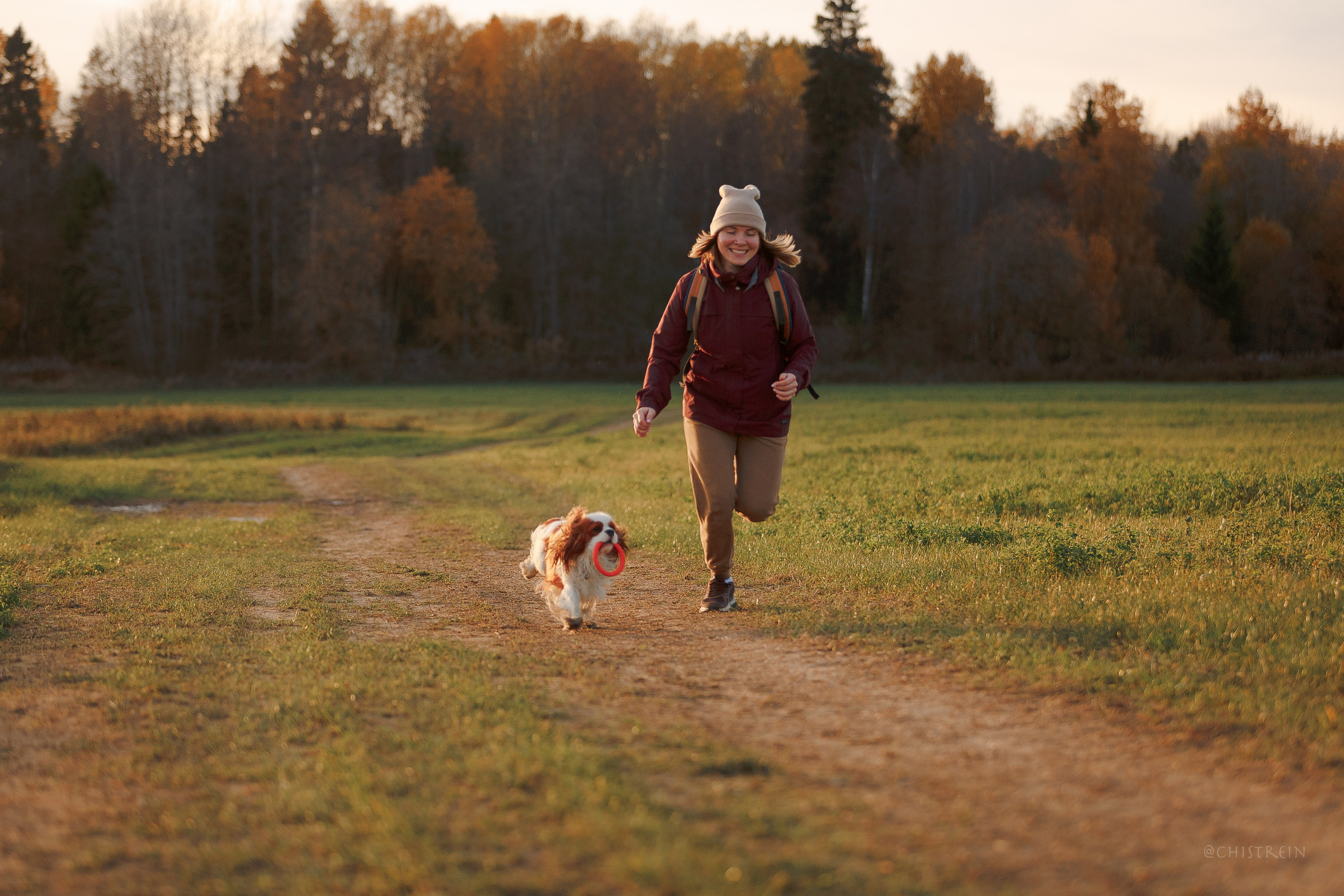 Октябрьский закат в полях. Алина и Лео. Фотограф-анималист Наталия Чистюхина в г. Сосновый Бор и ЛО