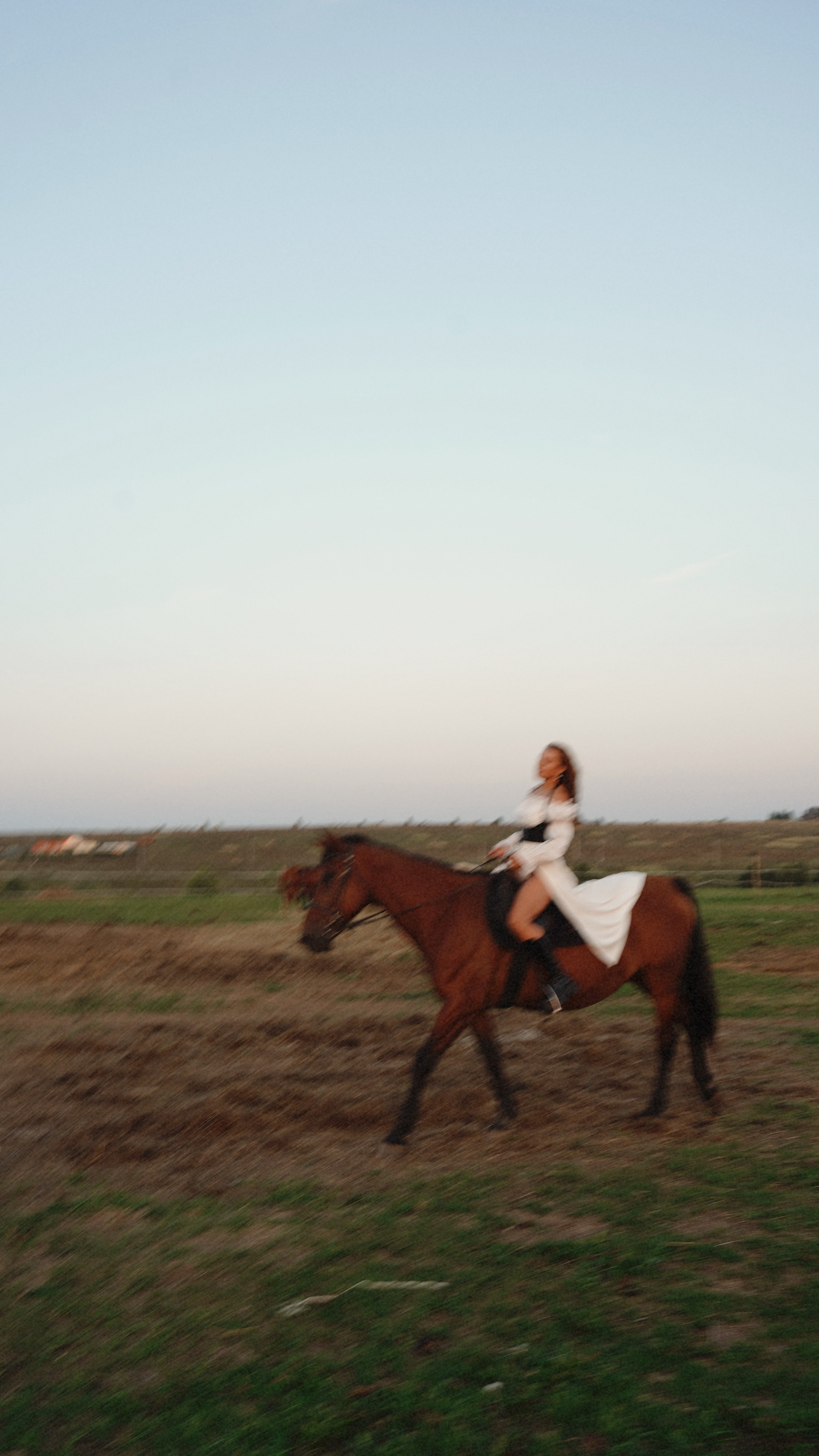 С лошадьми. Главная