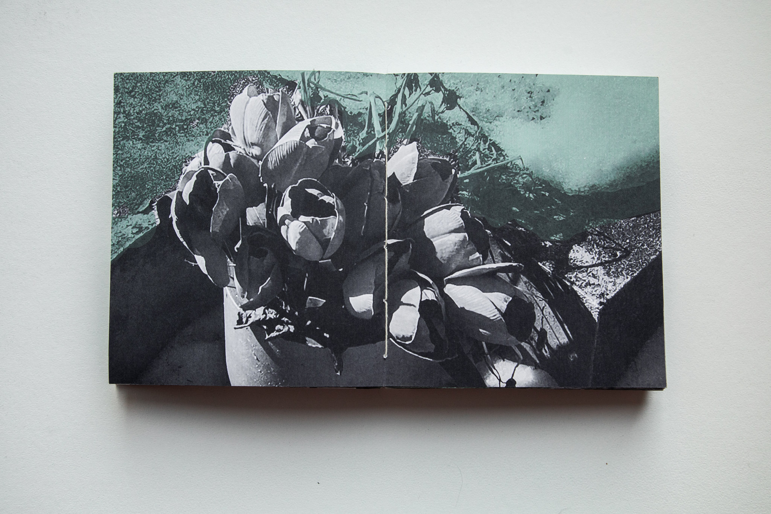 Без названия, 2022. Каати Пуолакайнен