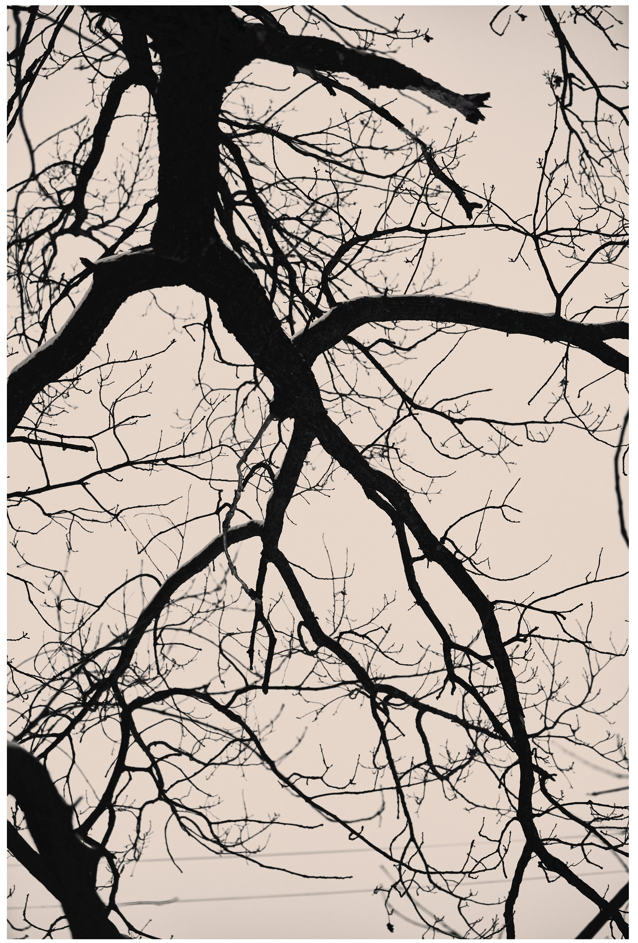 Каркас. Коммерческий фотограф в Казани Ксения Добролюбова