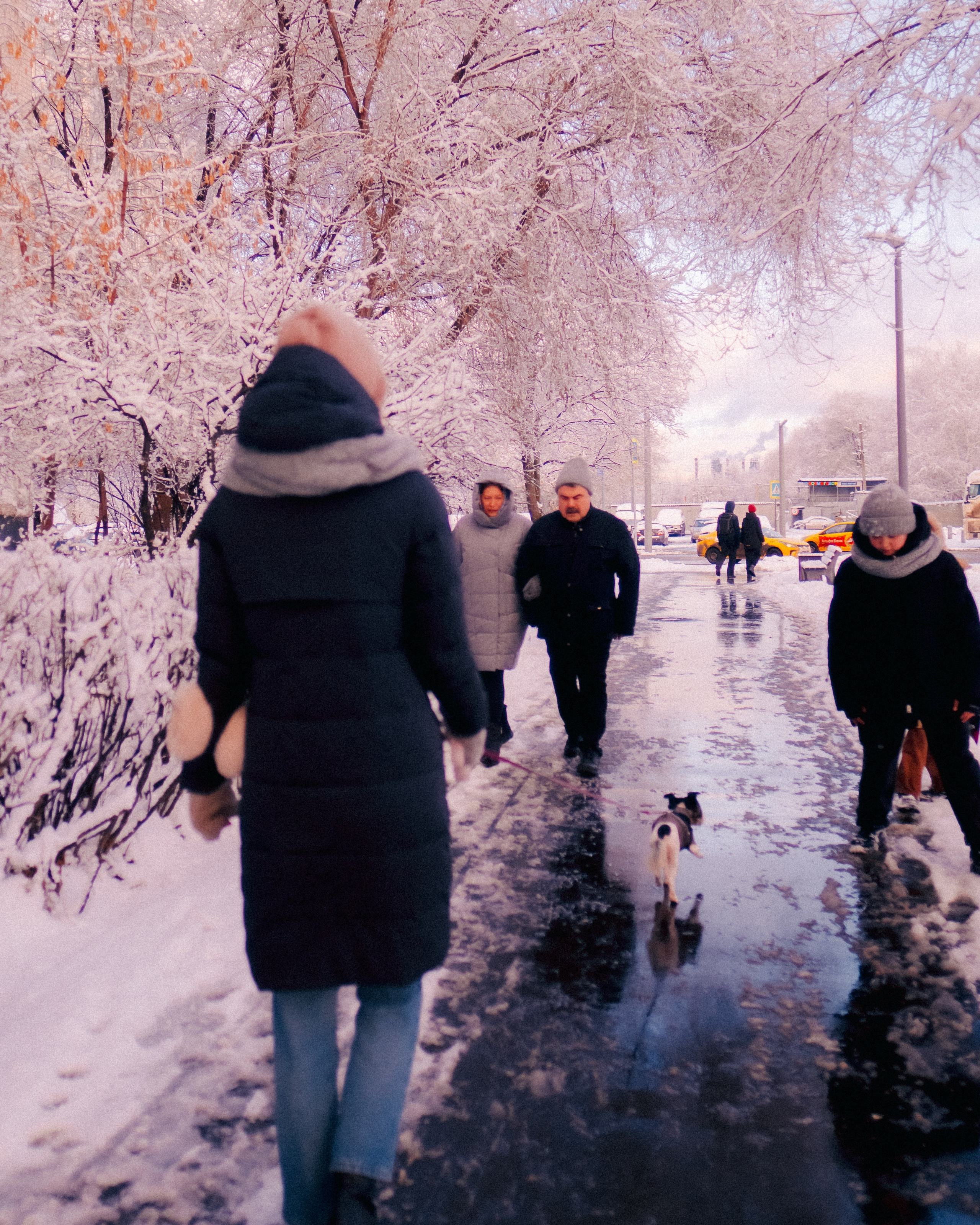 Зимняя сказка. Фёдор Малюгин. Ваш бади в визуале