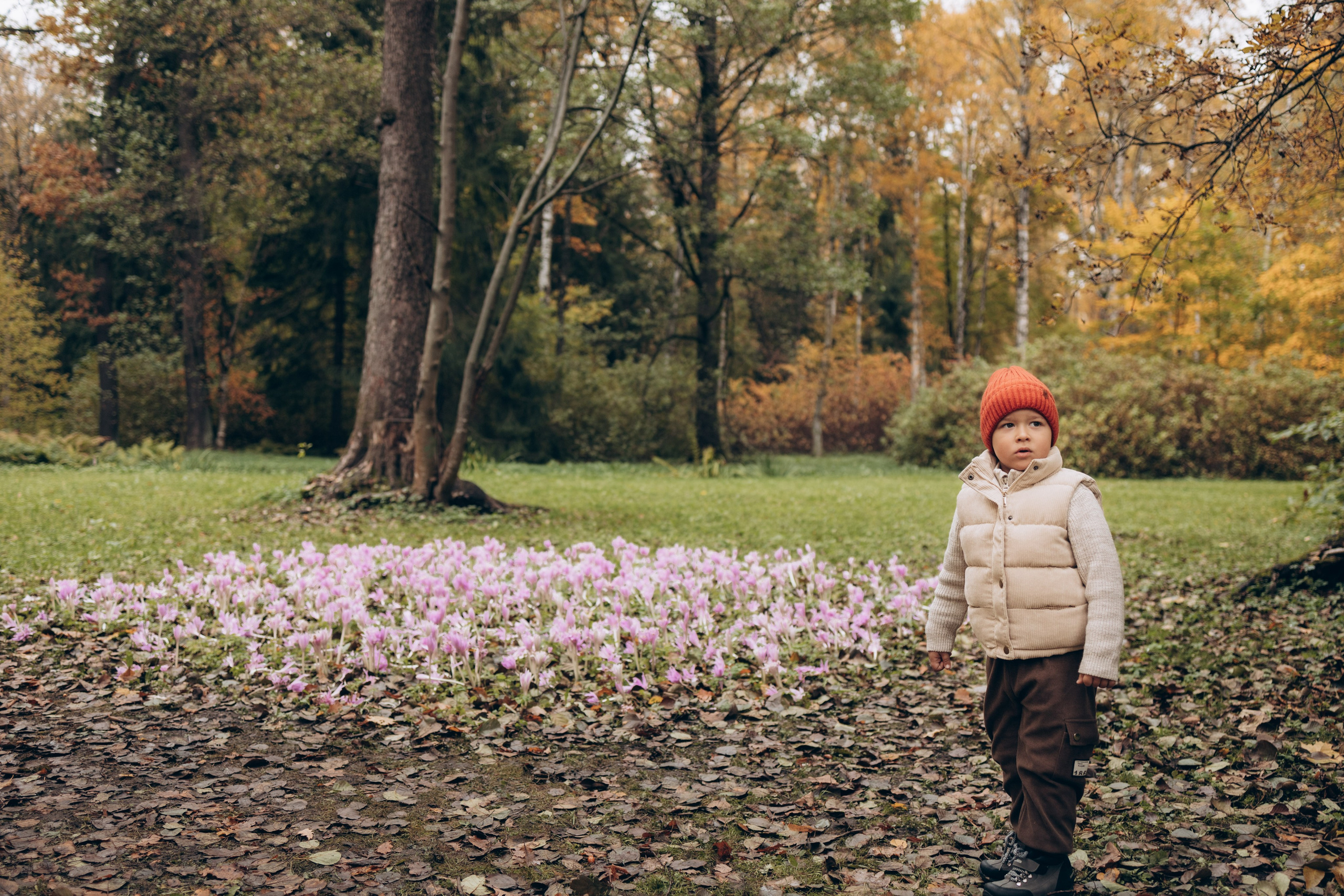 Осенняя семейная фотосессия в парке ЦПКиО им. Кирова на Елагином острове. Семейный и детский фотограф в Санкт-Петербурге Павлова Елена