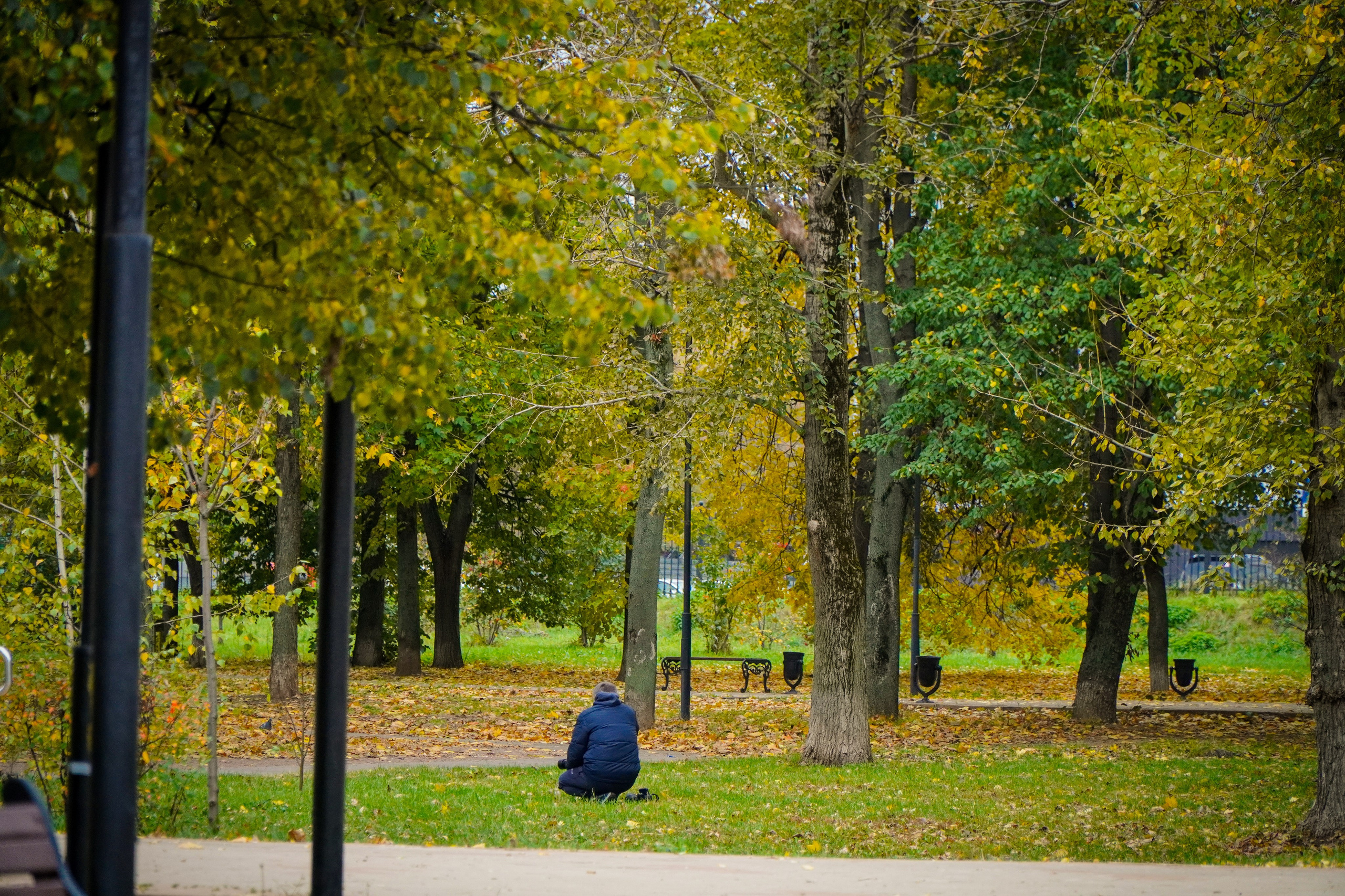 5 вёрст Наташинский 12 октября 2024. Роман Капилюшов. Бег. Фото. Видео. г. Люберцы