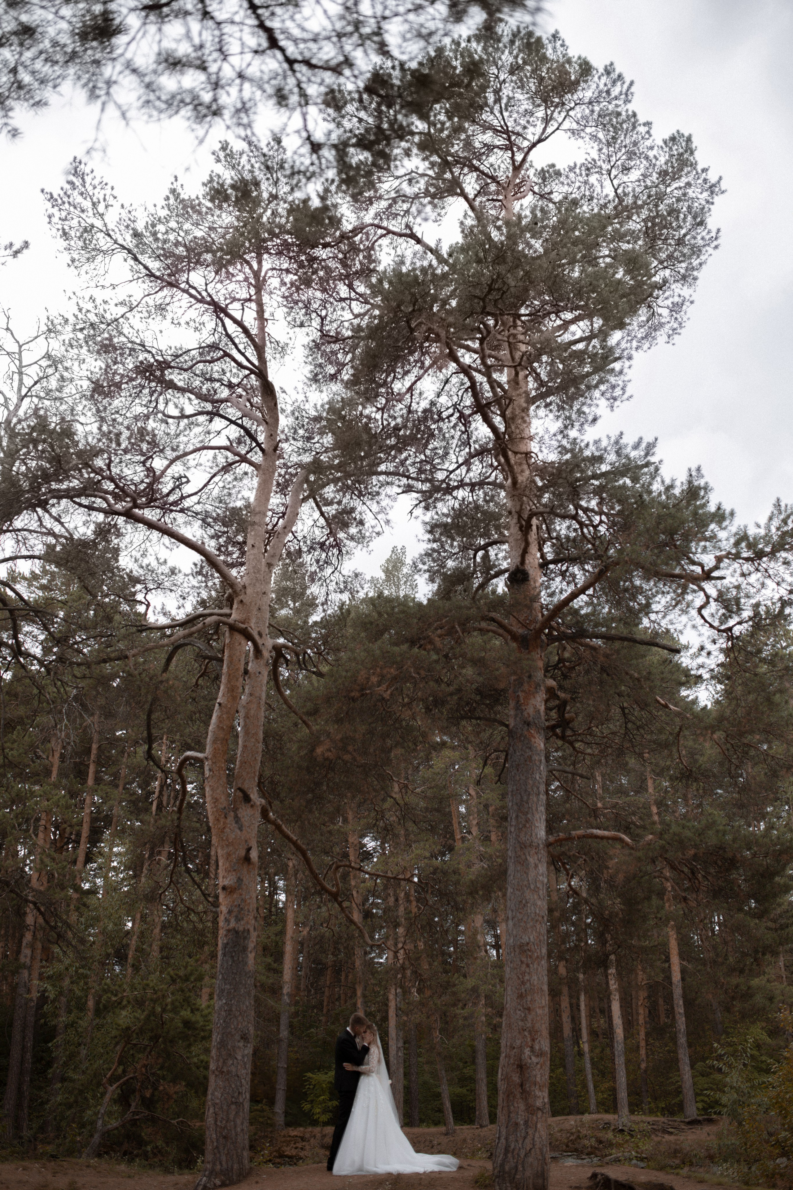 Артем и Диана (полный день). Свадебный фотограф Екатерина Черкасская