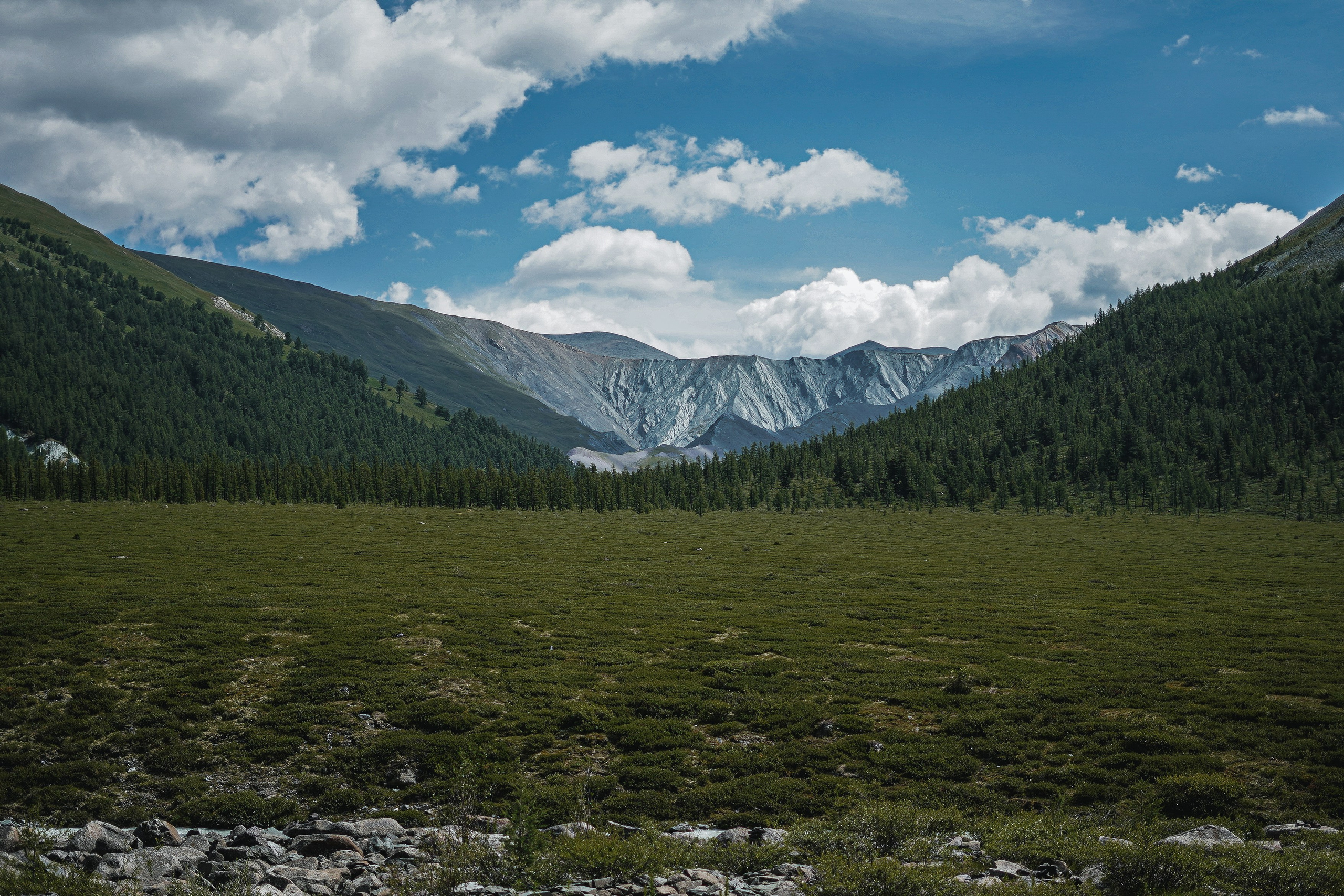 Алтай, поход к Белухе 2023. Фотограф Ольга Пучкова