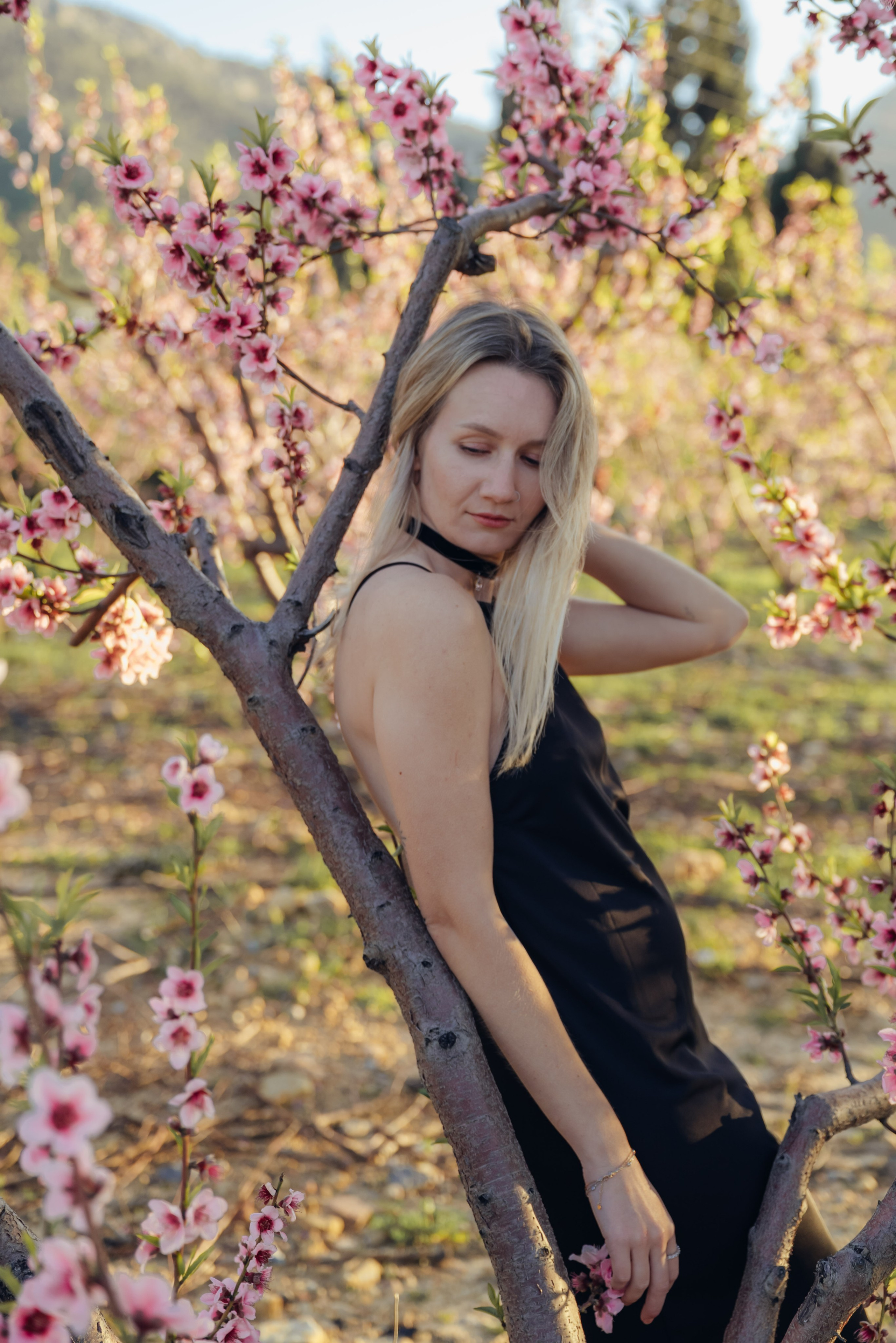 Цветущий миндаль. Анна Лобанова | фотограф