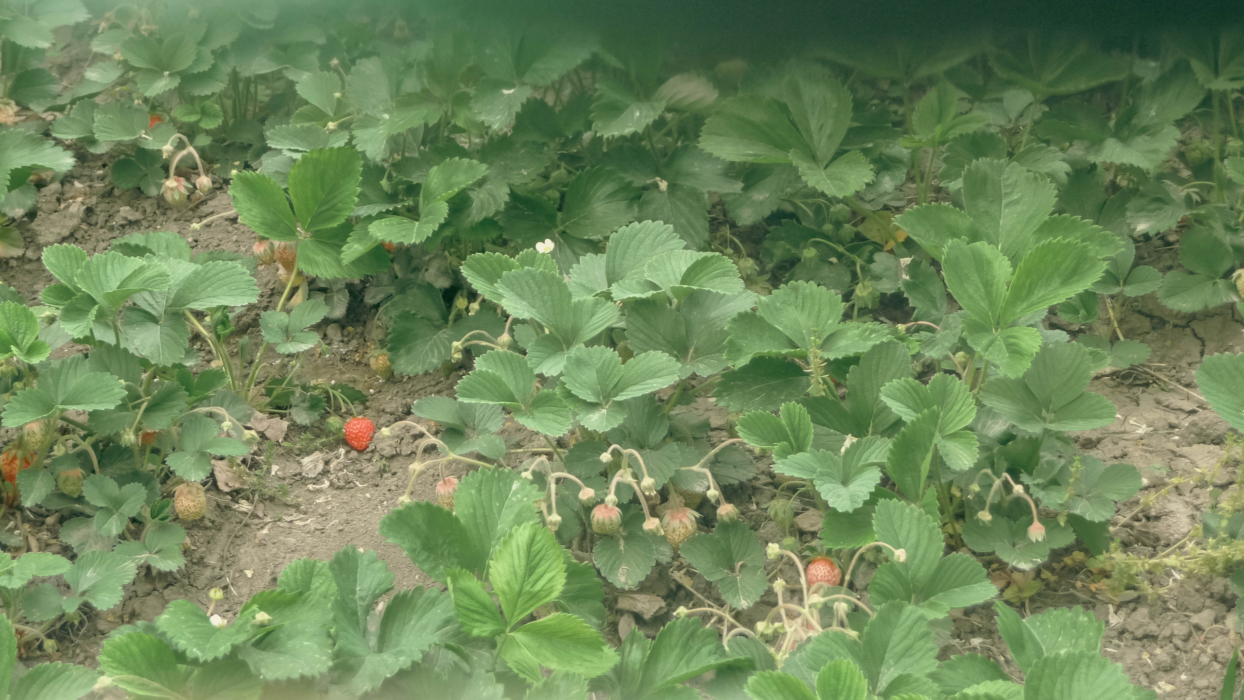 Майская Кубань. Фотограф Анастасия Лощакова в Москве