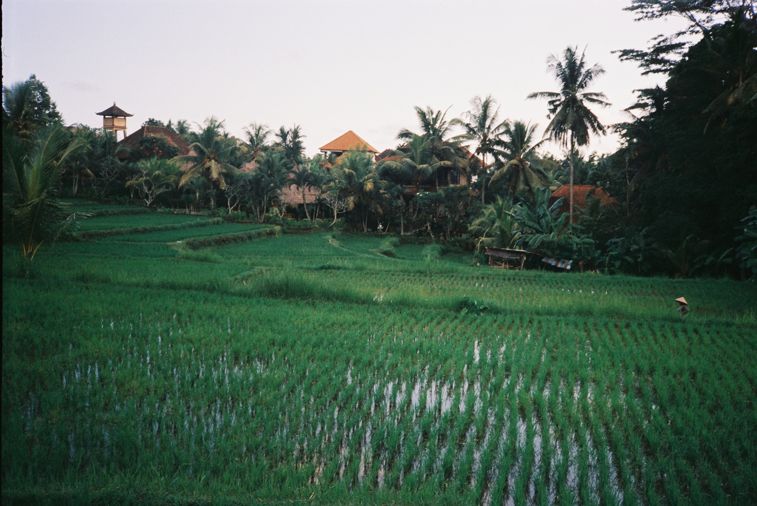 Asia. Olya Filina | Moscow Photographer