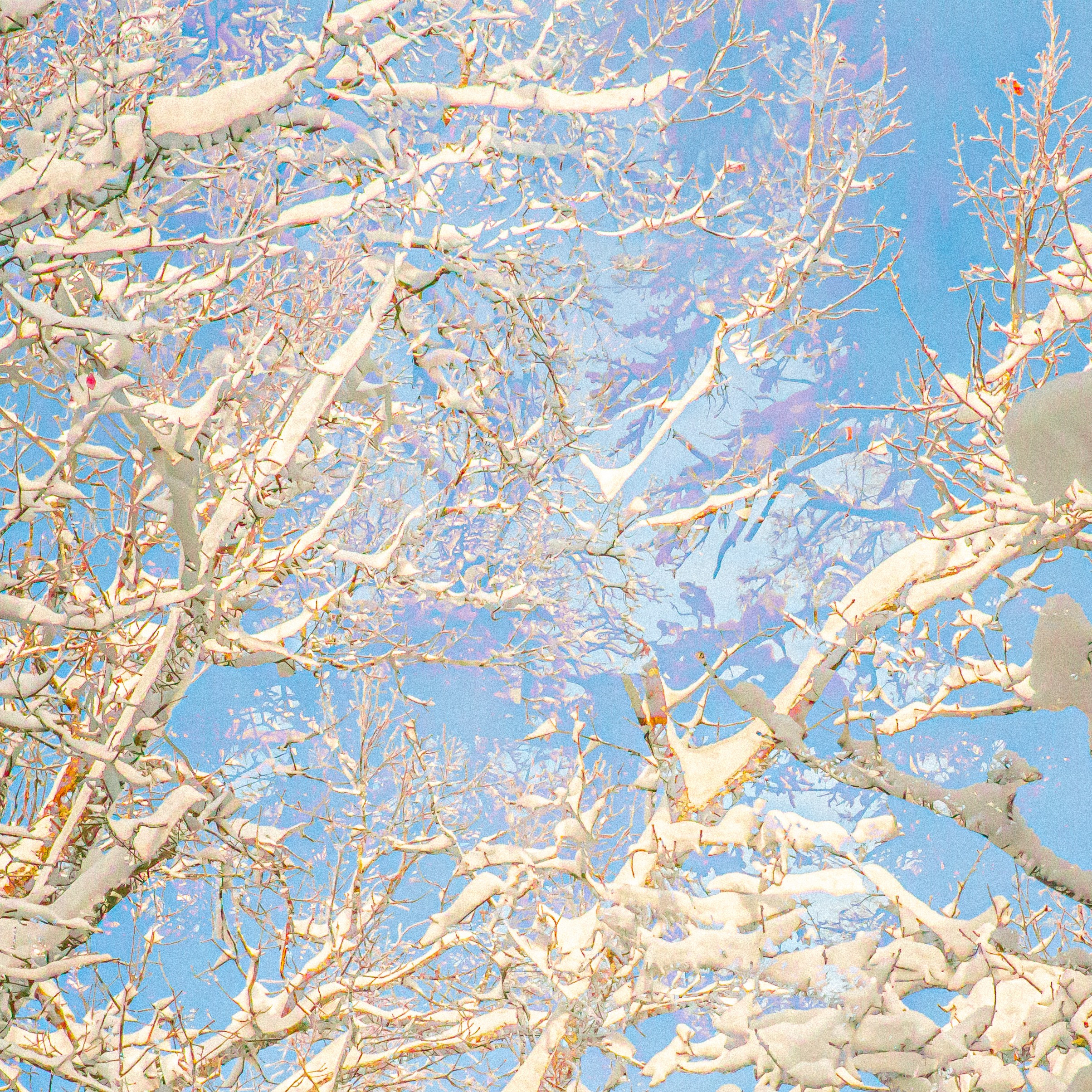 — 29С, 2026. АННА ВЕРСО / ANNA VERSO | Визуальный художник / Visual artist