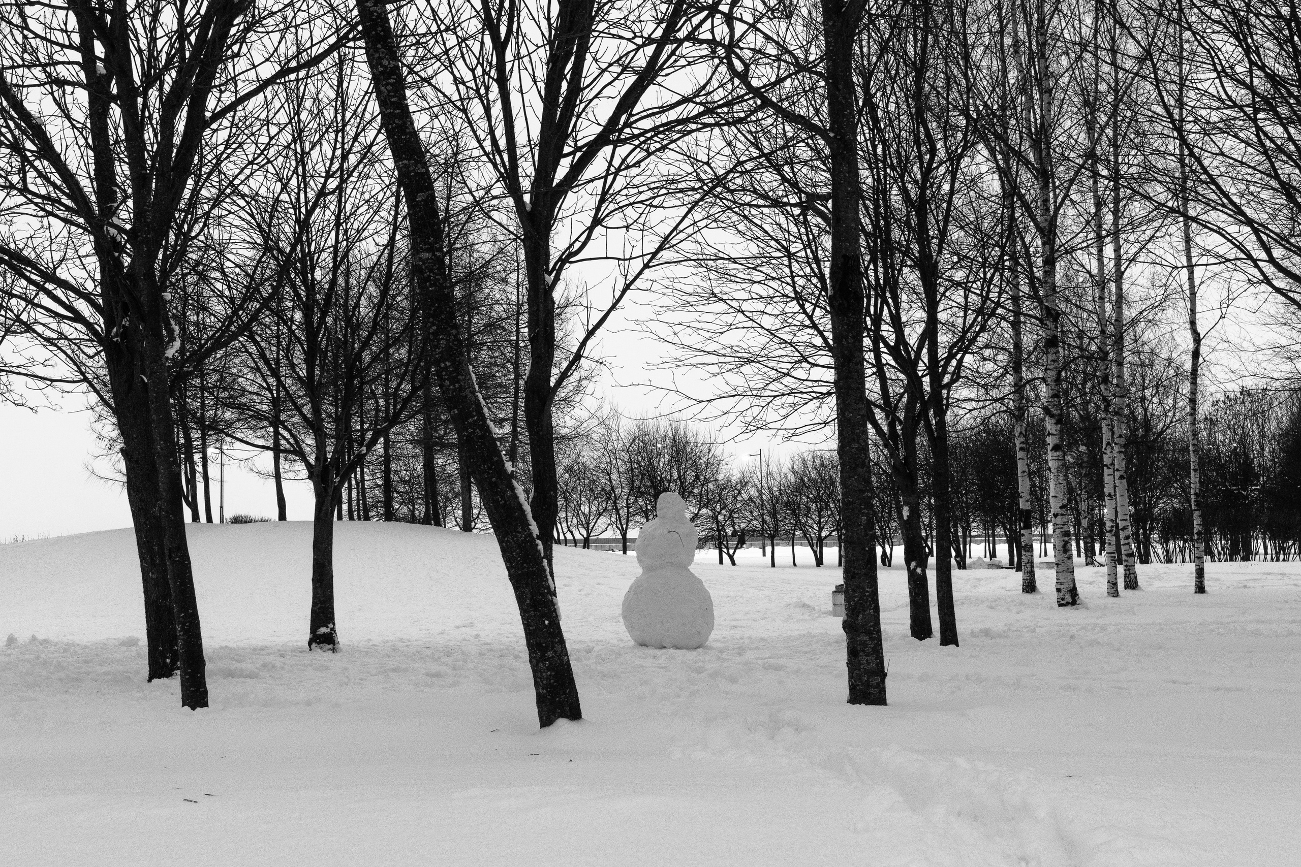 Кто сломал снеговика?. Наталья Орешина документальный и арт-фотограф из Санкт-Петербурга