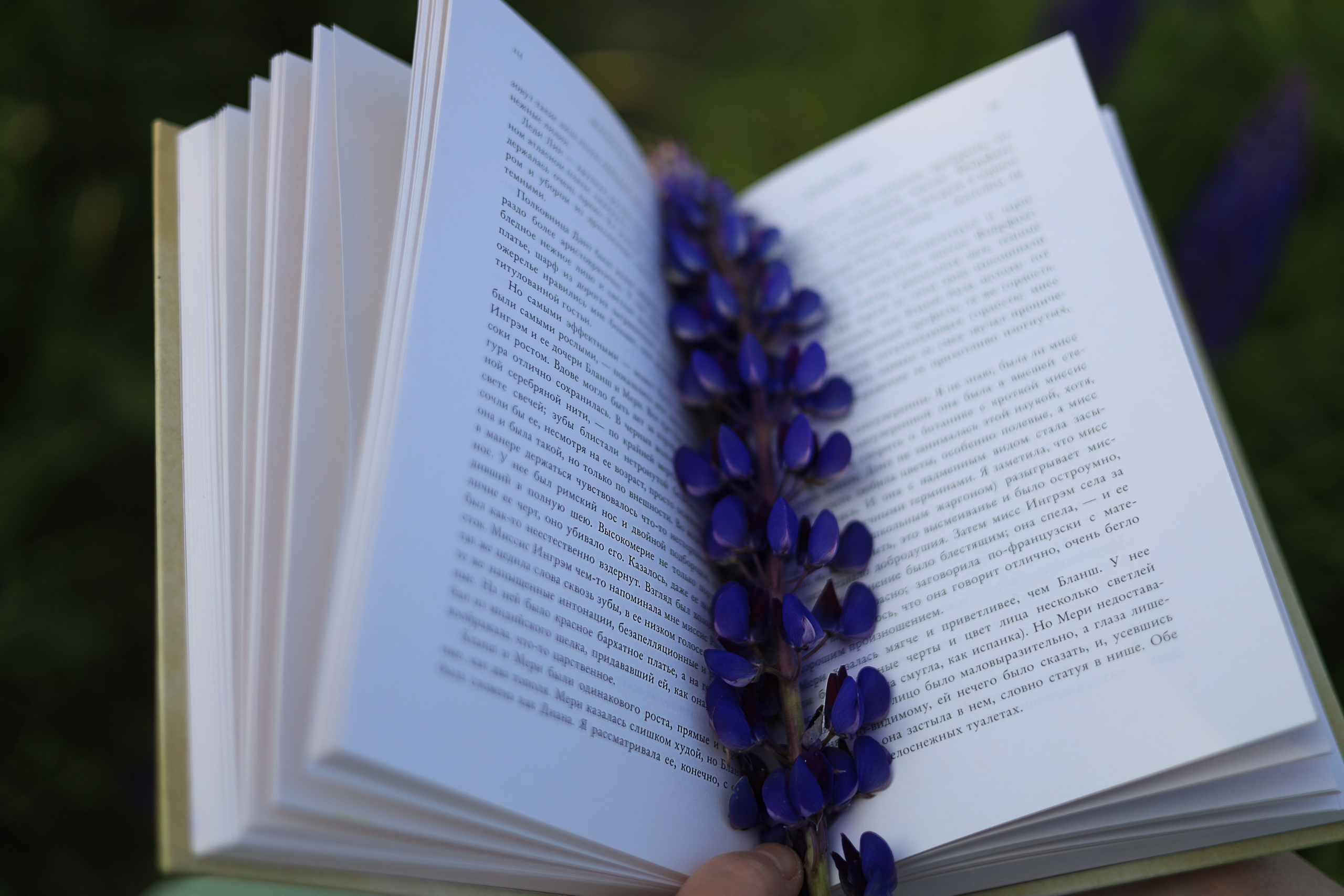 Портфолио. Индивидуальный фотограф в Сергиевом Посаде Наталья Румянцева