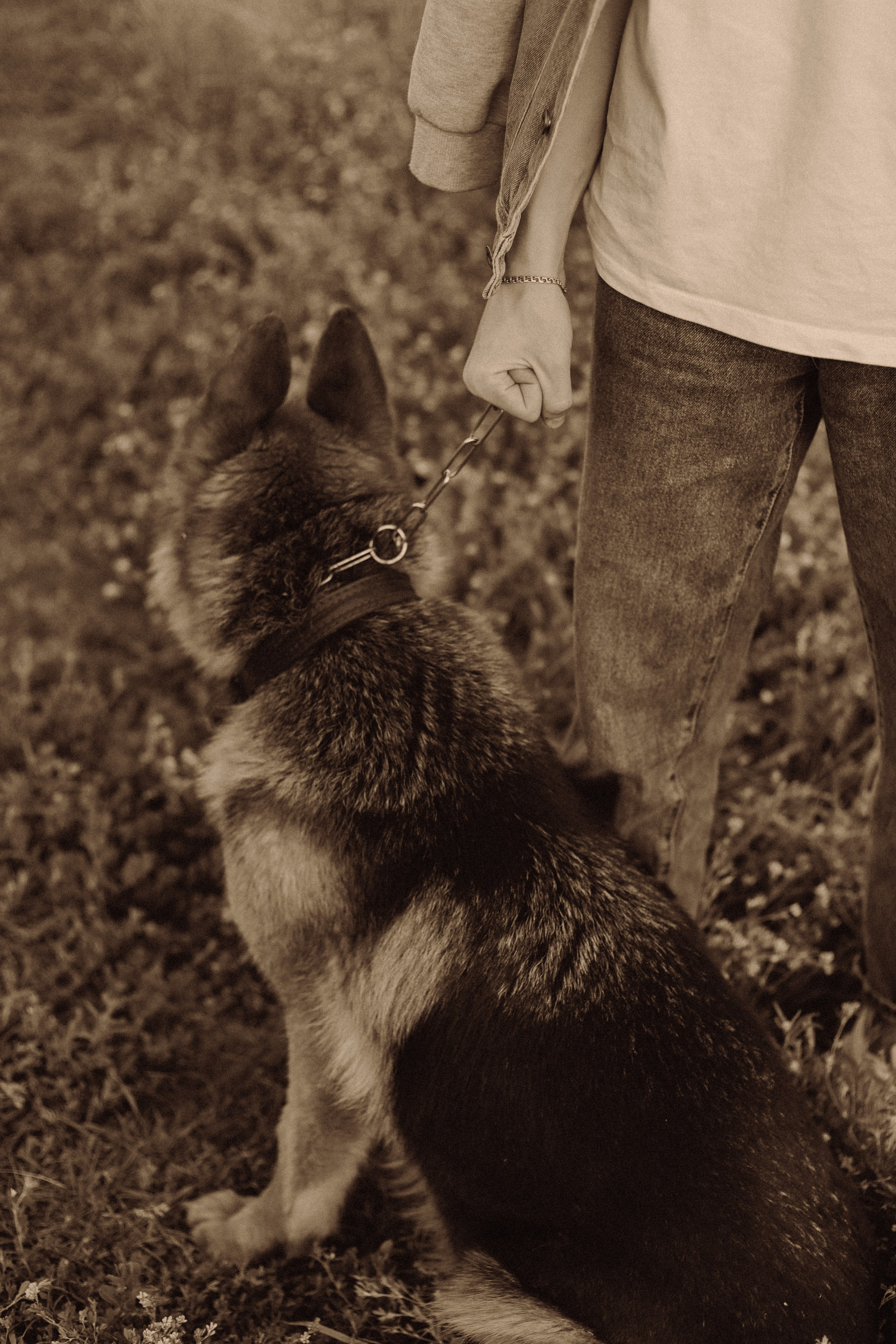 Alexander. Фотограф Елизавета Колесникова