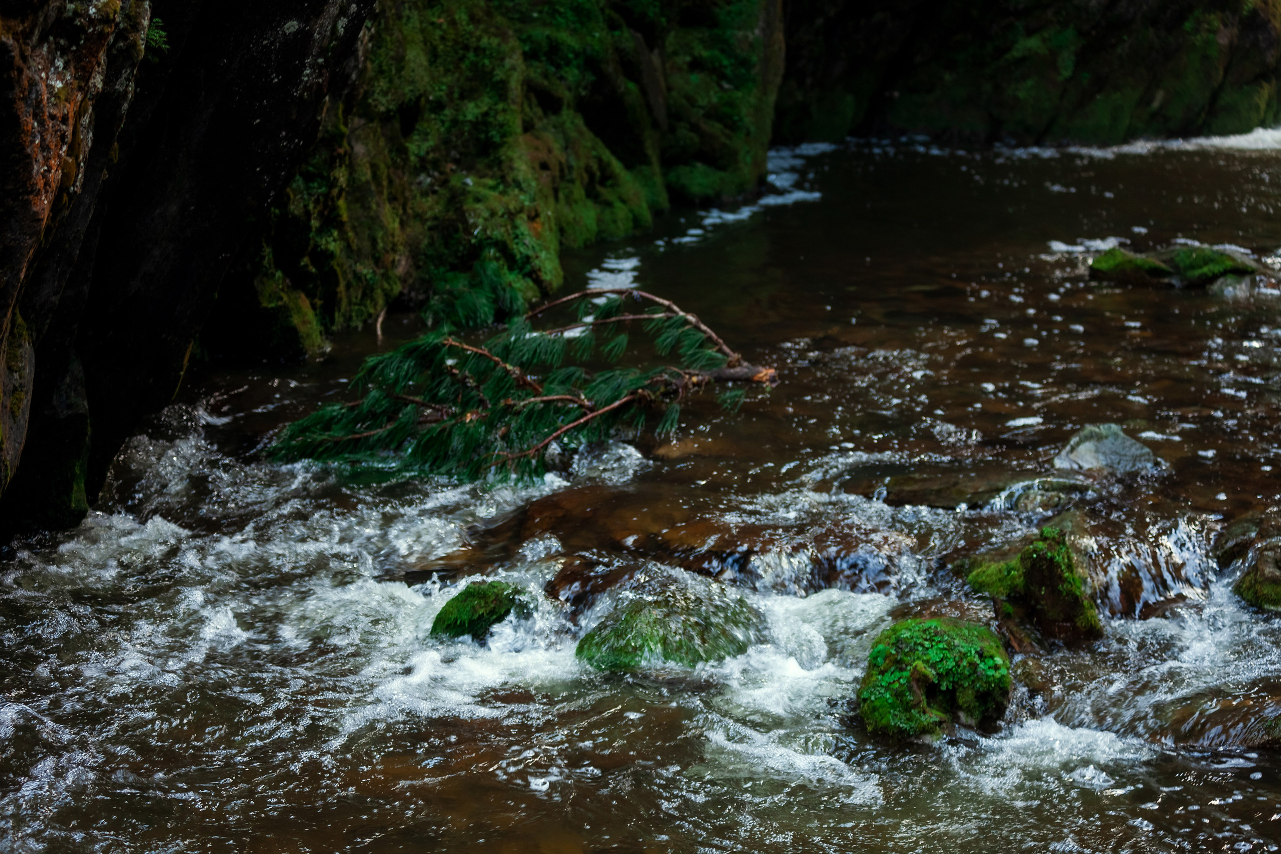 АЛТАЙ 2024 / ALTAI 2024. Главная