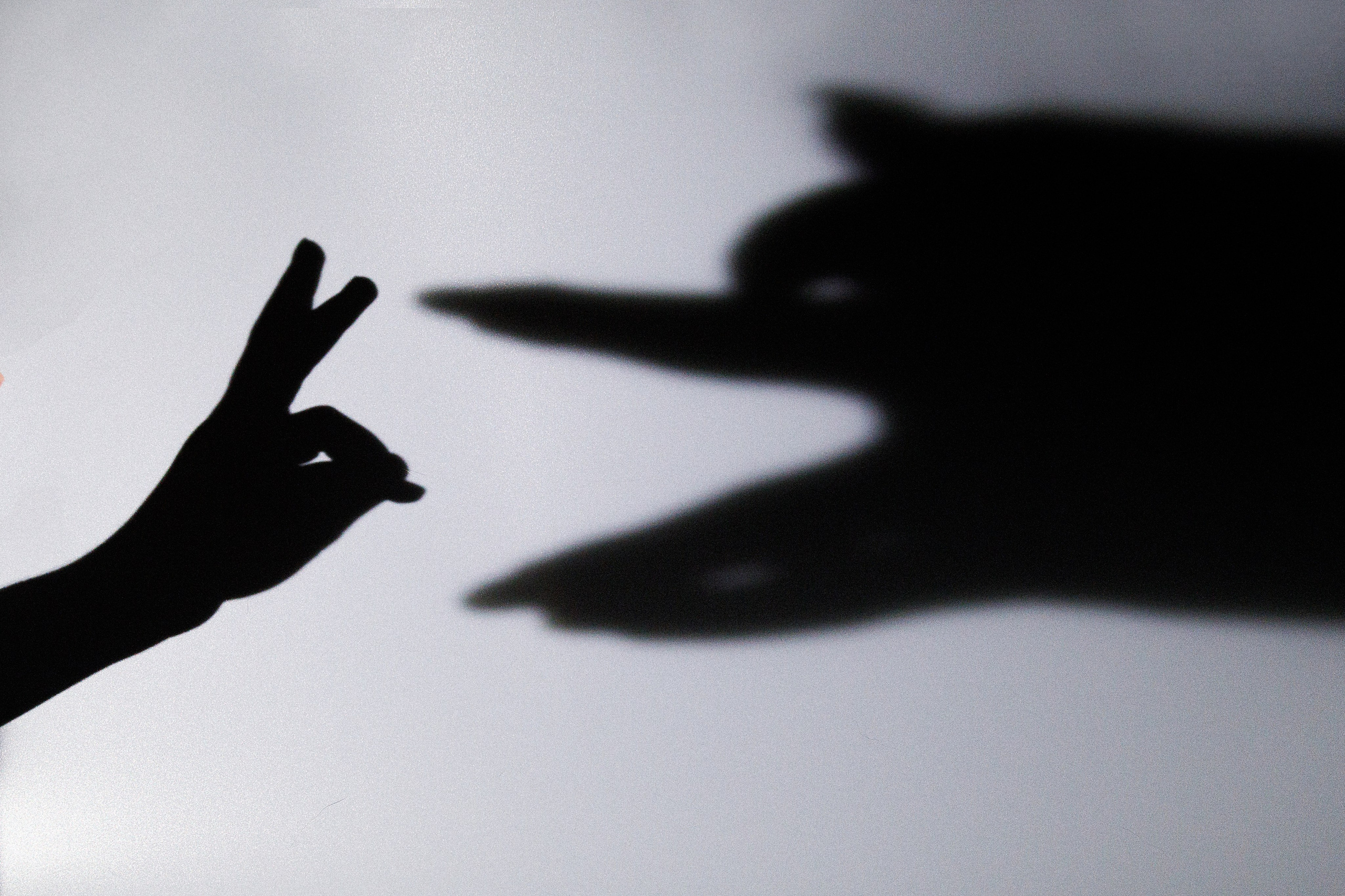 Проект «366»|2024|Фото каждый день. LENA GRACE photographer ||ЛЕНА ГРЭЙС фотограф