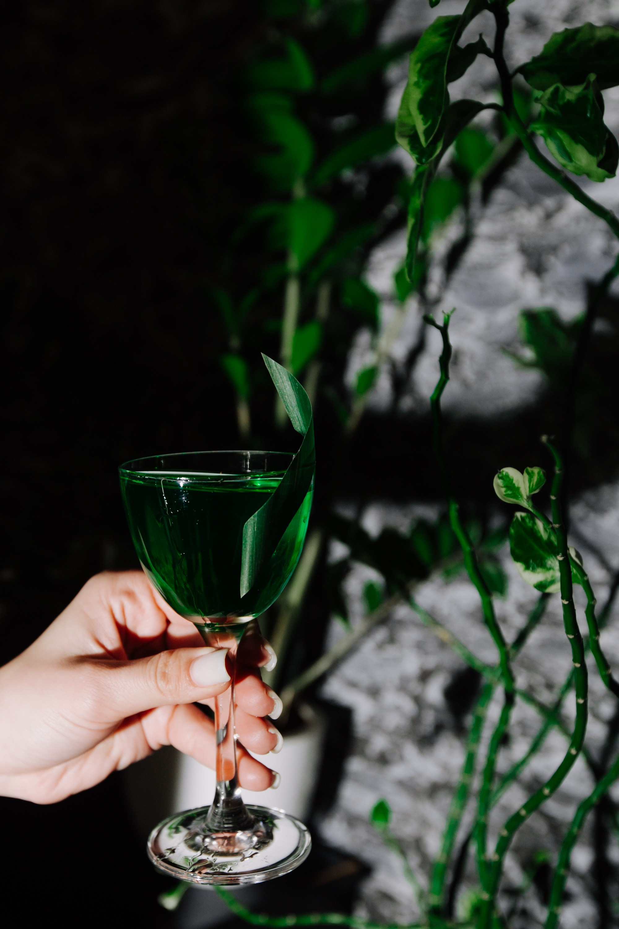 Garden Lounge / Cocktail. Home