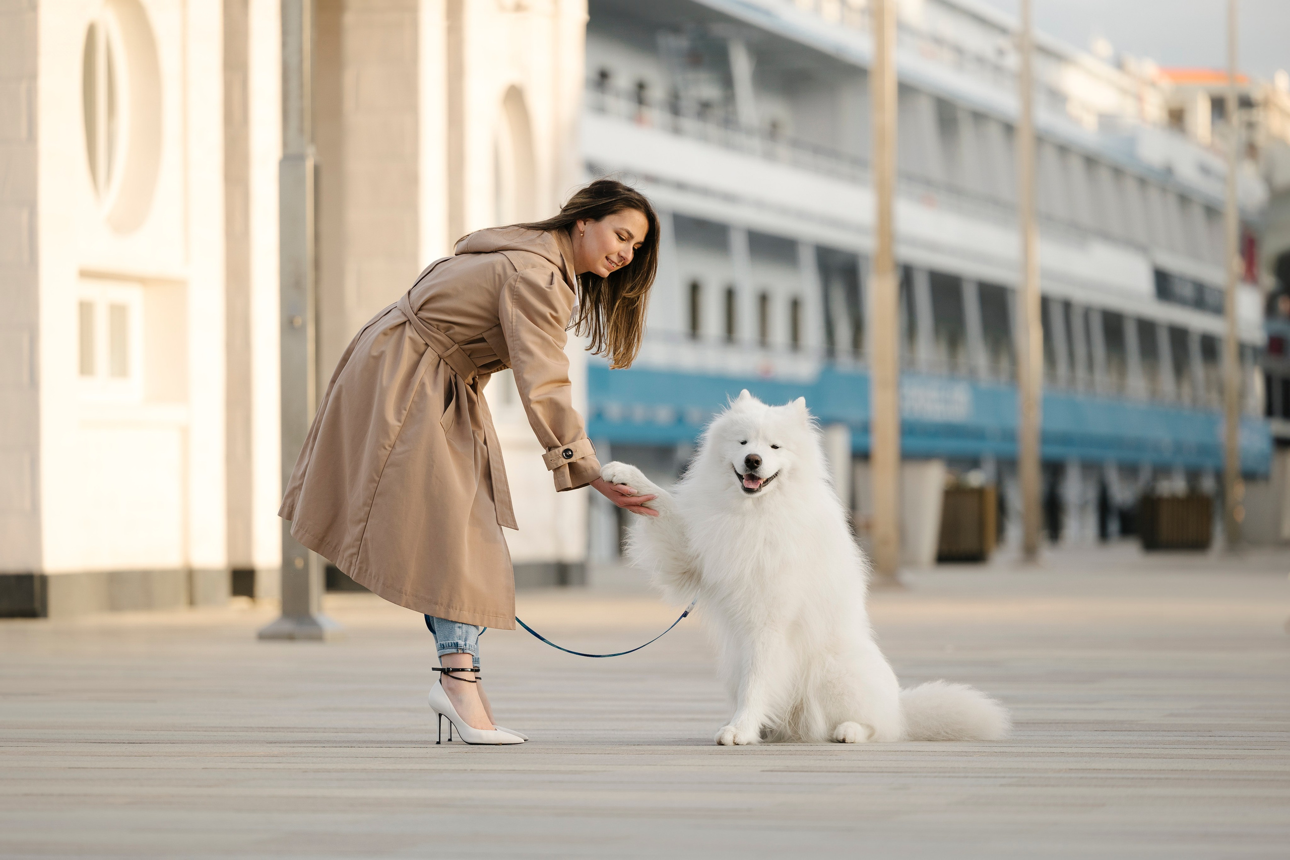 Ната, Панти, Речной Вокзал. Фотограф анималист в Москве Майорова Евгения