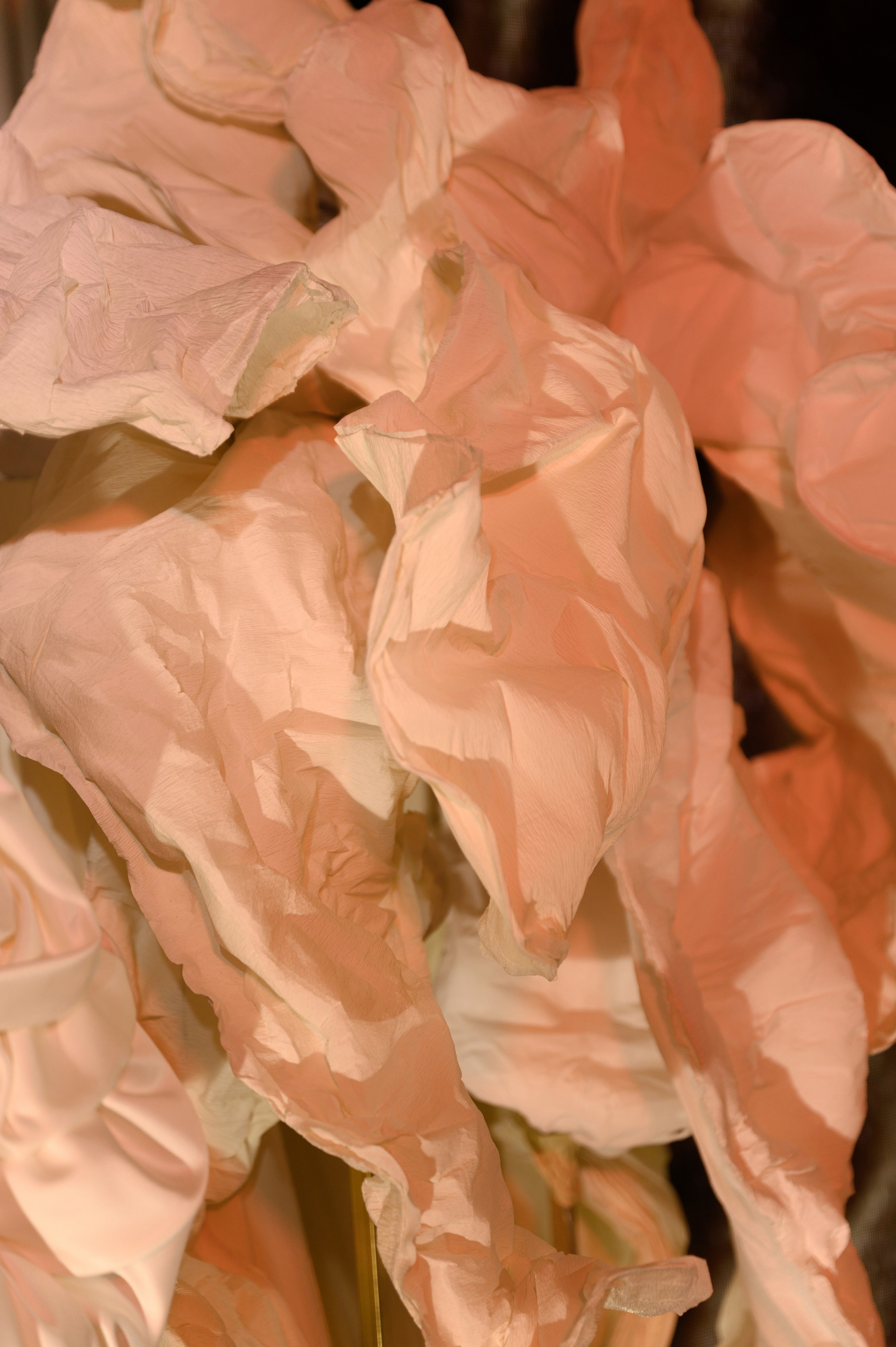 Саша и Лиза. Свадебный фотограф и видеограф