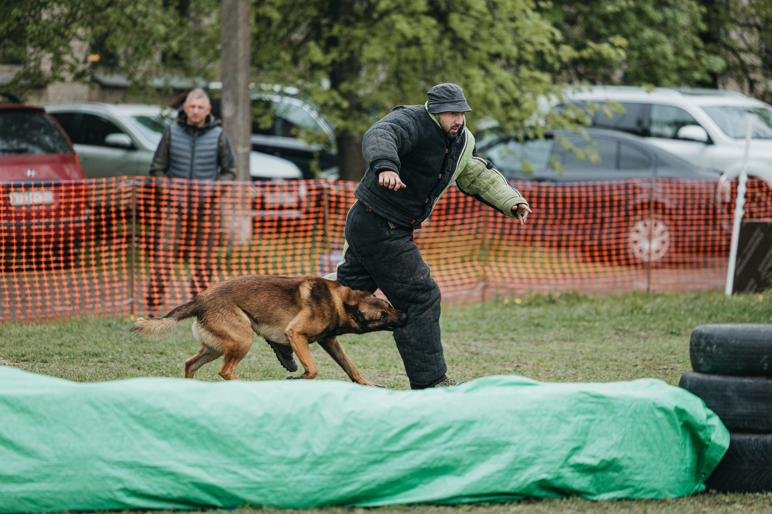 26.05.25 г. Пушкин квалификационные соревнования. Фотограф-анималист Анна Маринич