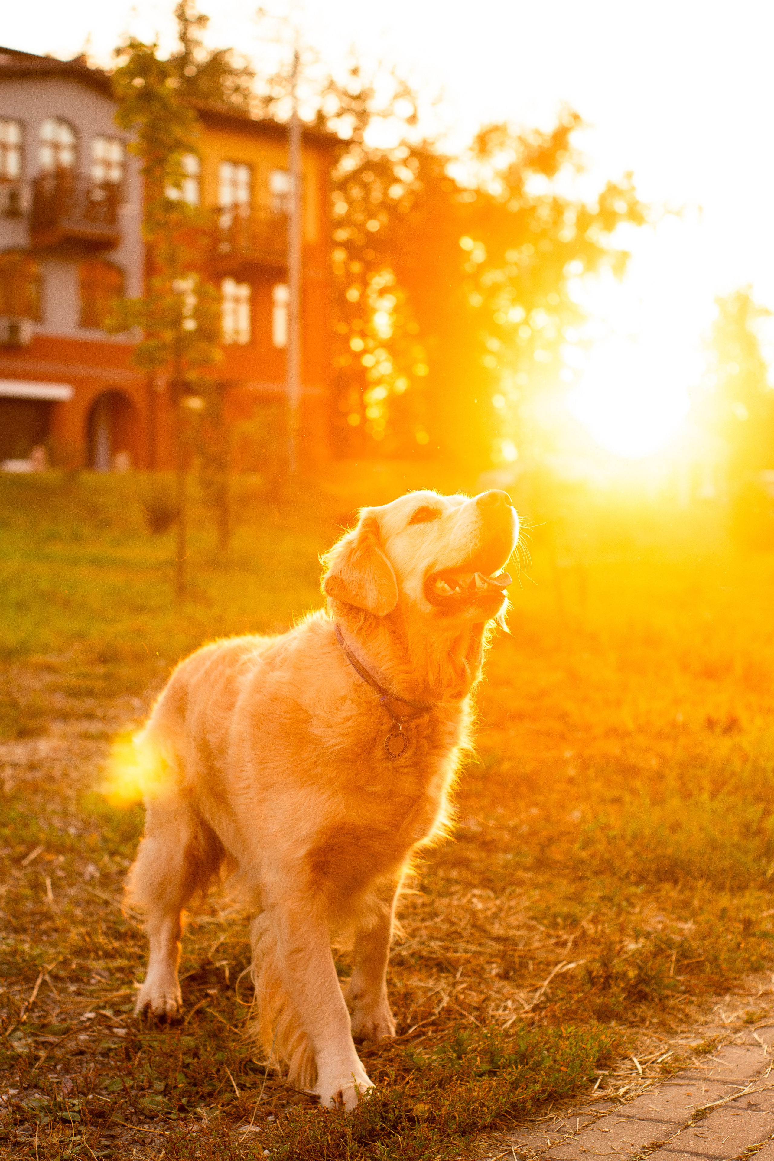 Юля и Мэй. Фотограф-анималист Мария Баркевич | Москва