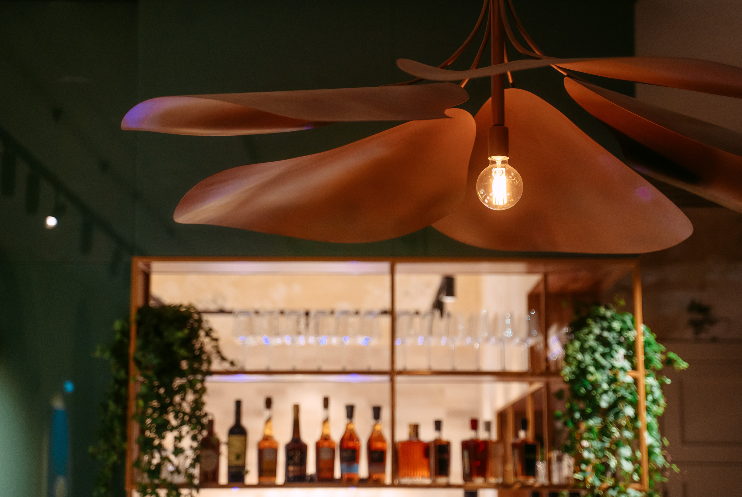 Avocado Queen / сеть ресторанов в Москве и Казани. Саша Копылов, фотограф в Казани