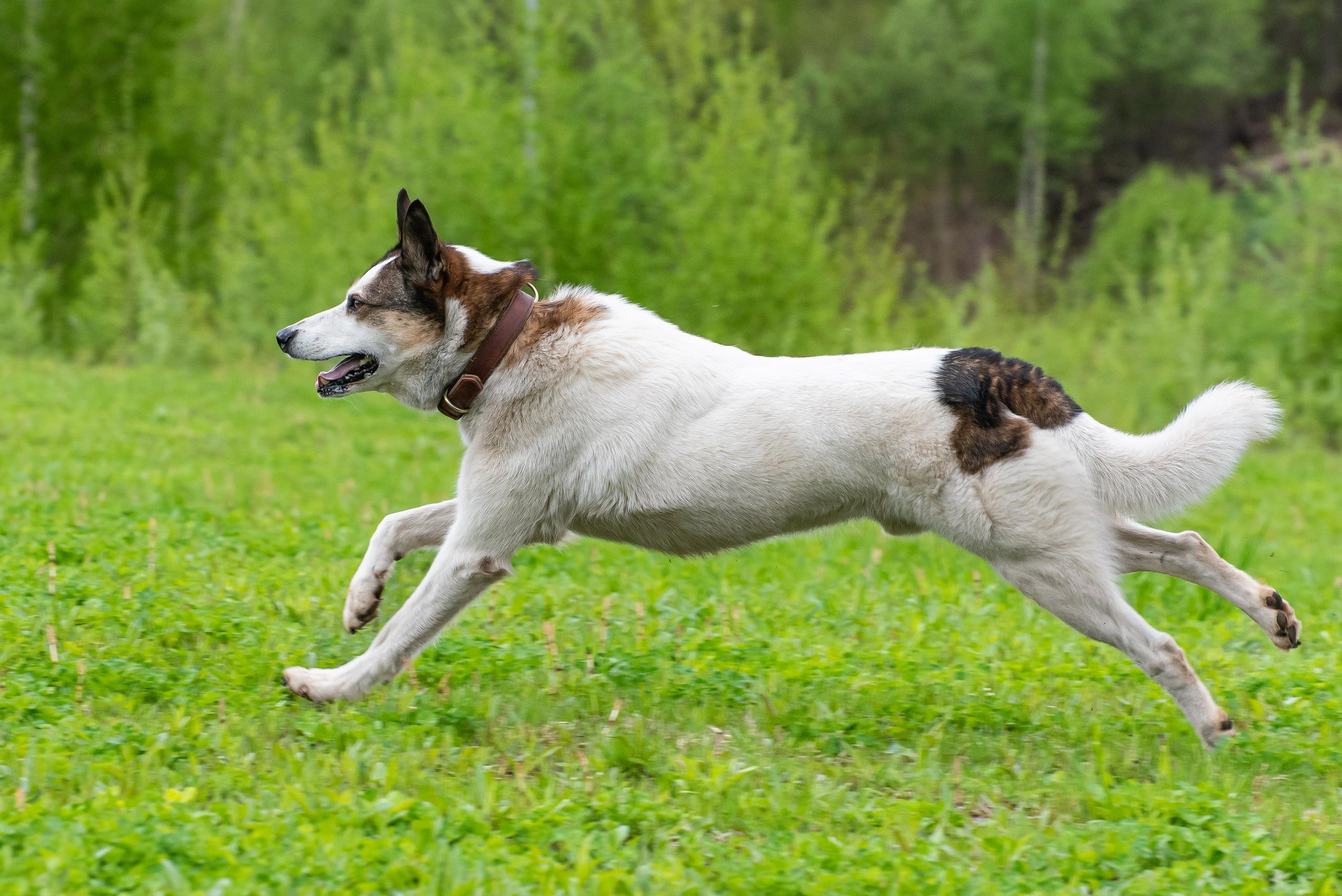 Фотографии с Курсинга. Фотограф Макс Огурцов в Нижнем Новгороде