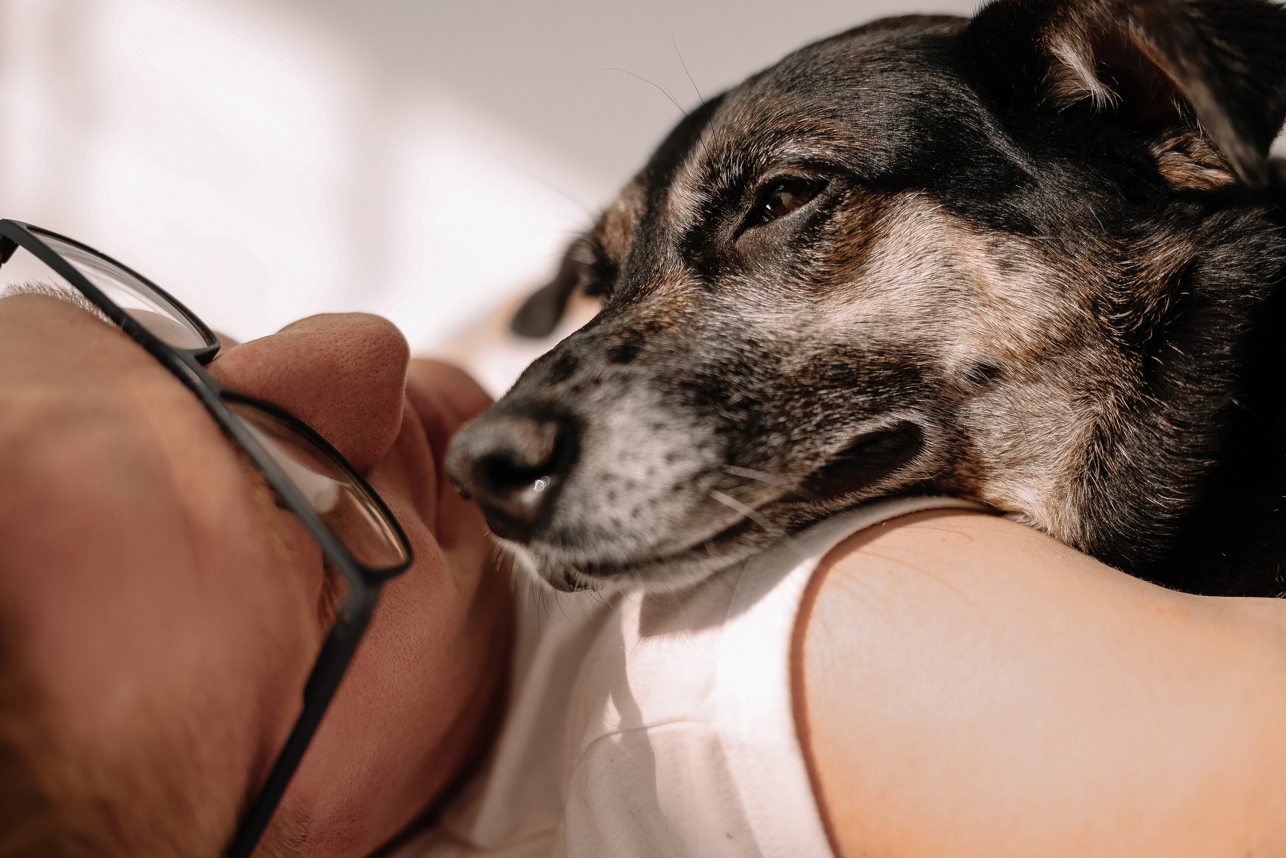 Иья и Феля. Свадебный и семейный Фотограф Денис Кошель