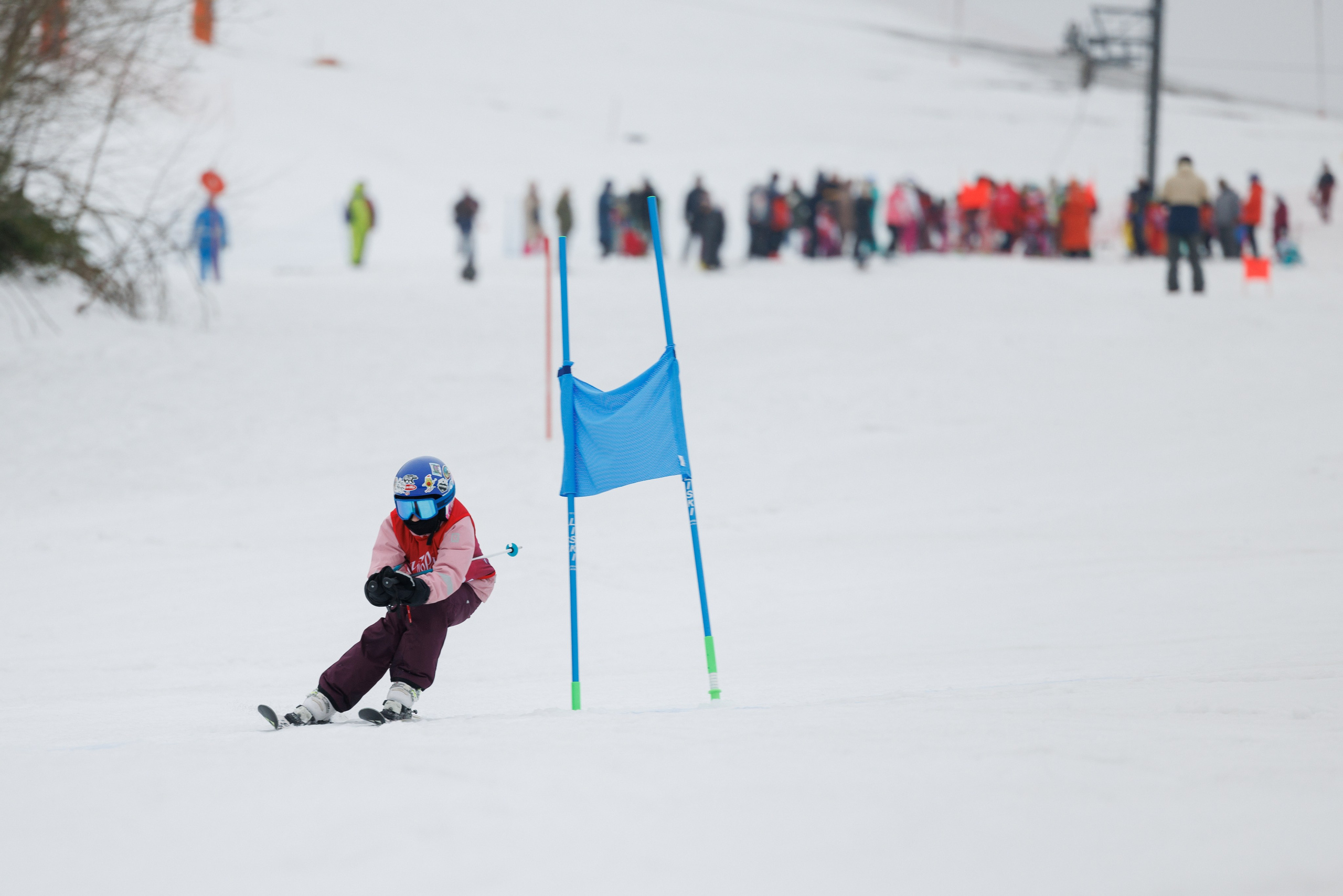 IGORA KIDS CUP 2024(spring). Фотограф Александр Заломаев