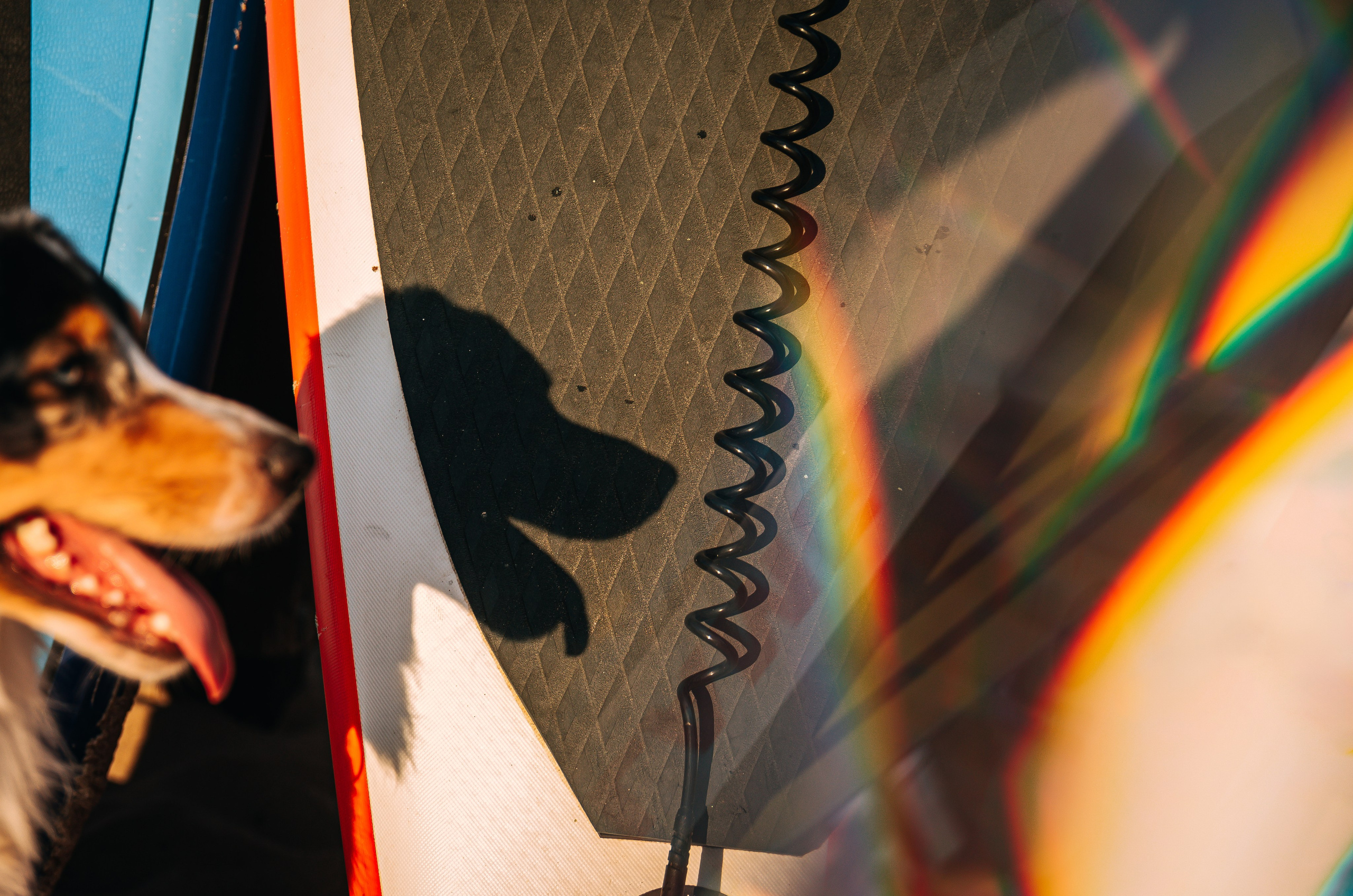 No Bad Days. Главная