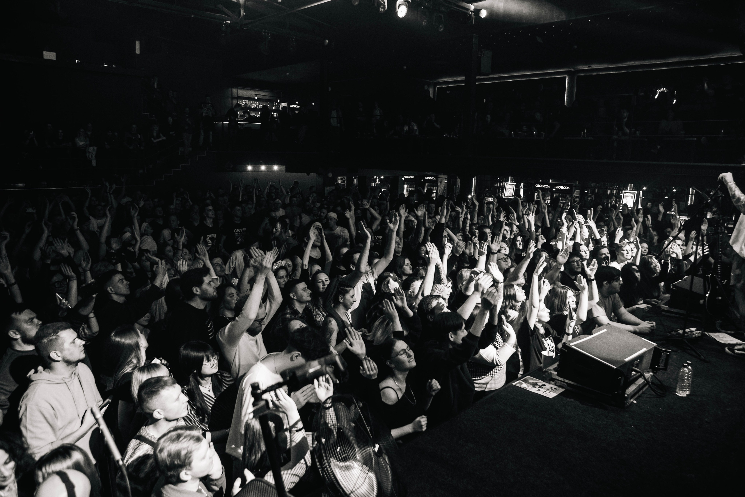 СКОТЫ 20.12.2025. Репортажный и портретный фотограф Михаил Мартиросян