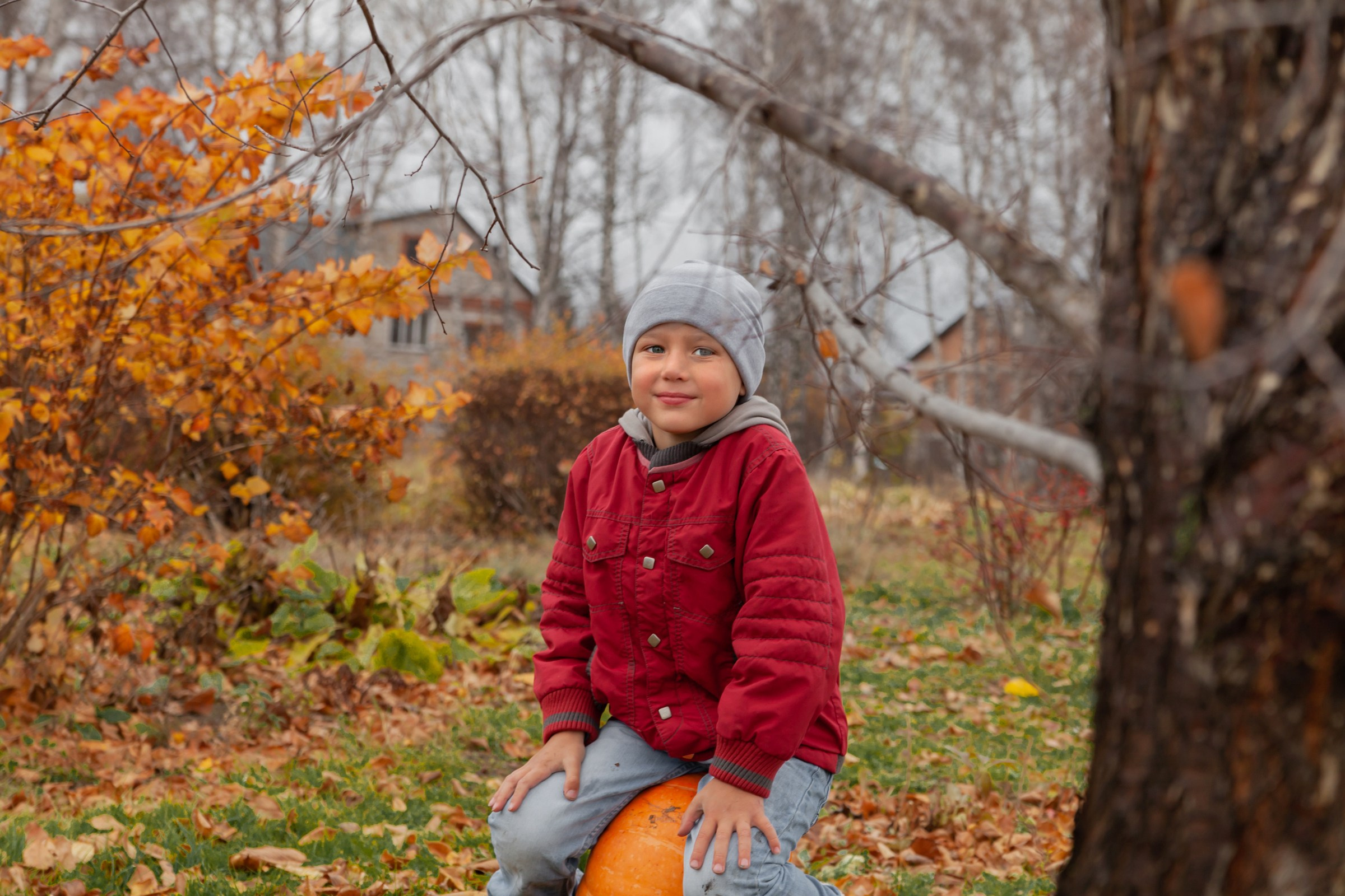 Осень. Детский и семейный фотограф в Бердске и Новосибирске Дарья Гребнева