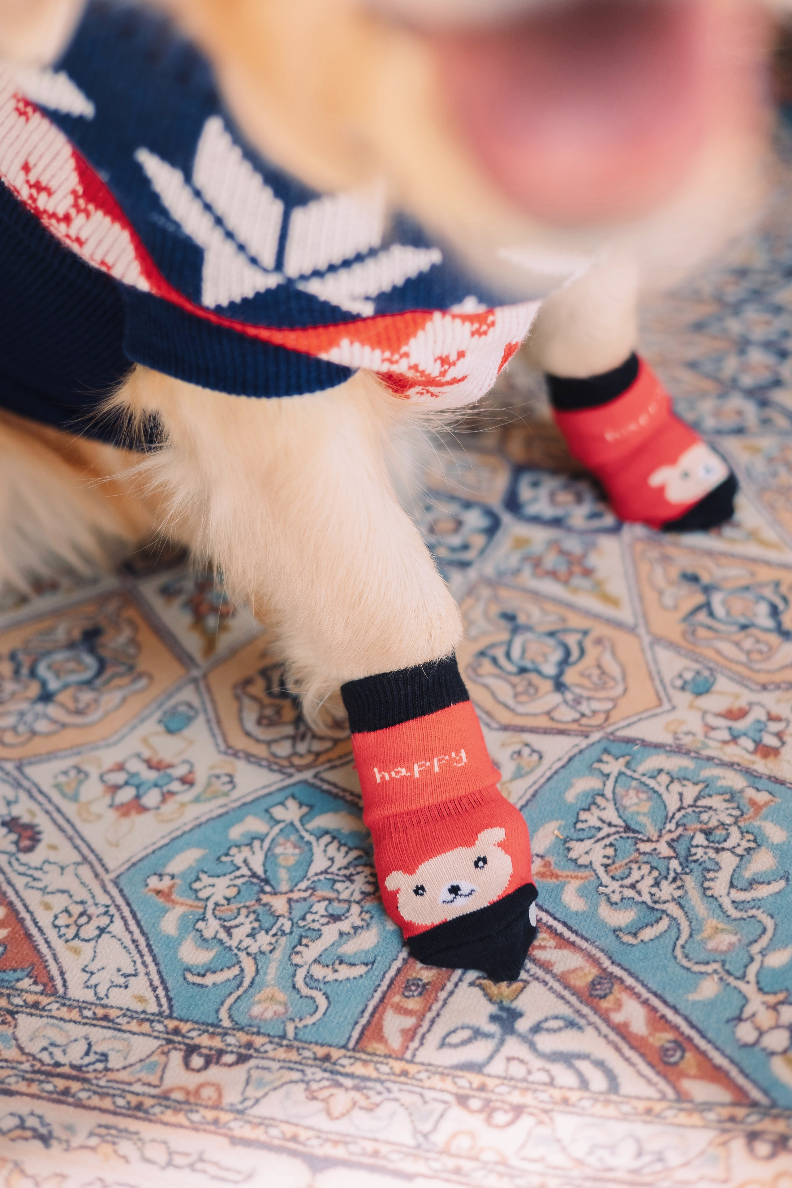 Магазин Friend of mine. Фотограф-анималист Елена Радченко, Москва