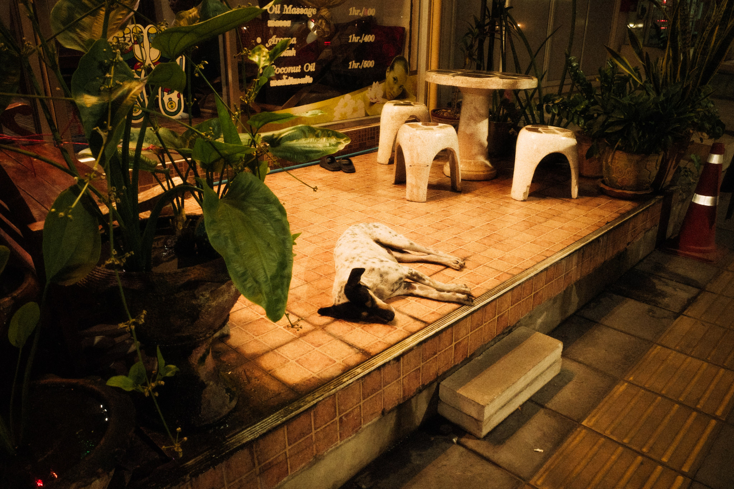 Тайланд плёнка. Свадебный фотограф в Спб Сергей Баланян