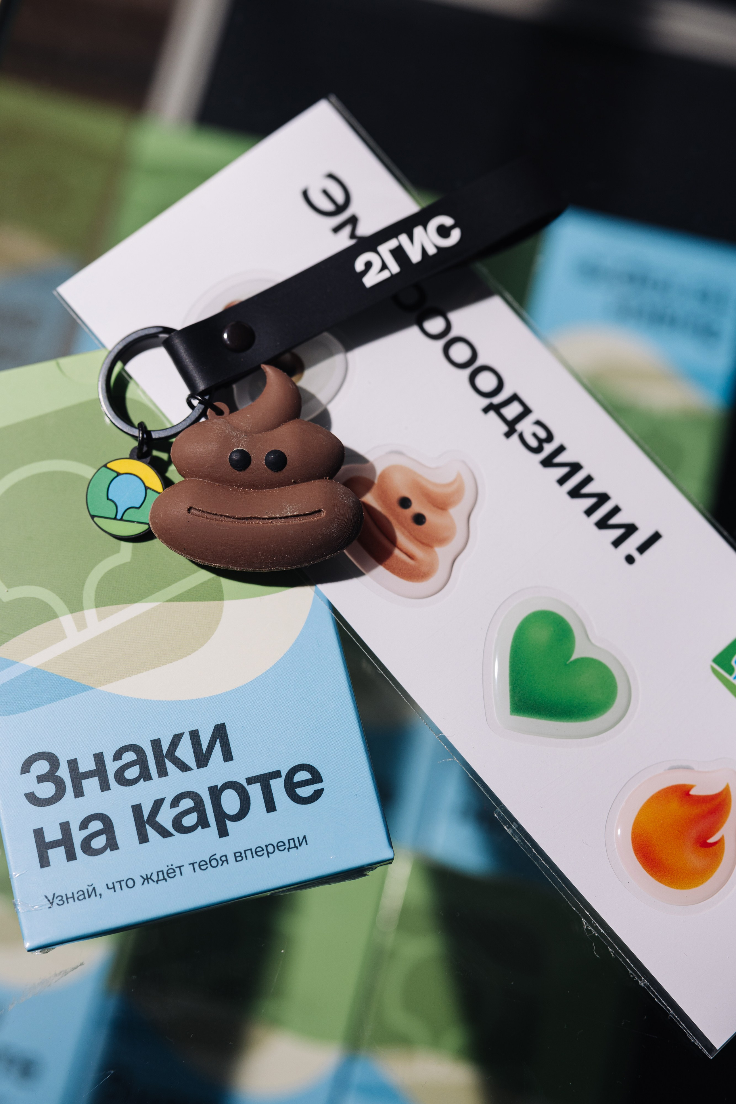 Большая презентация 2ГИС. Фотограф Олег Коровяков