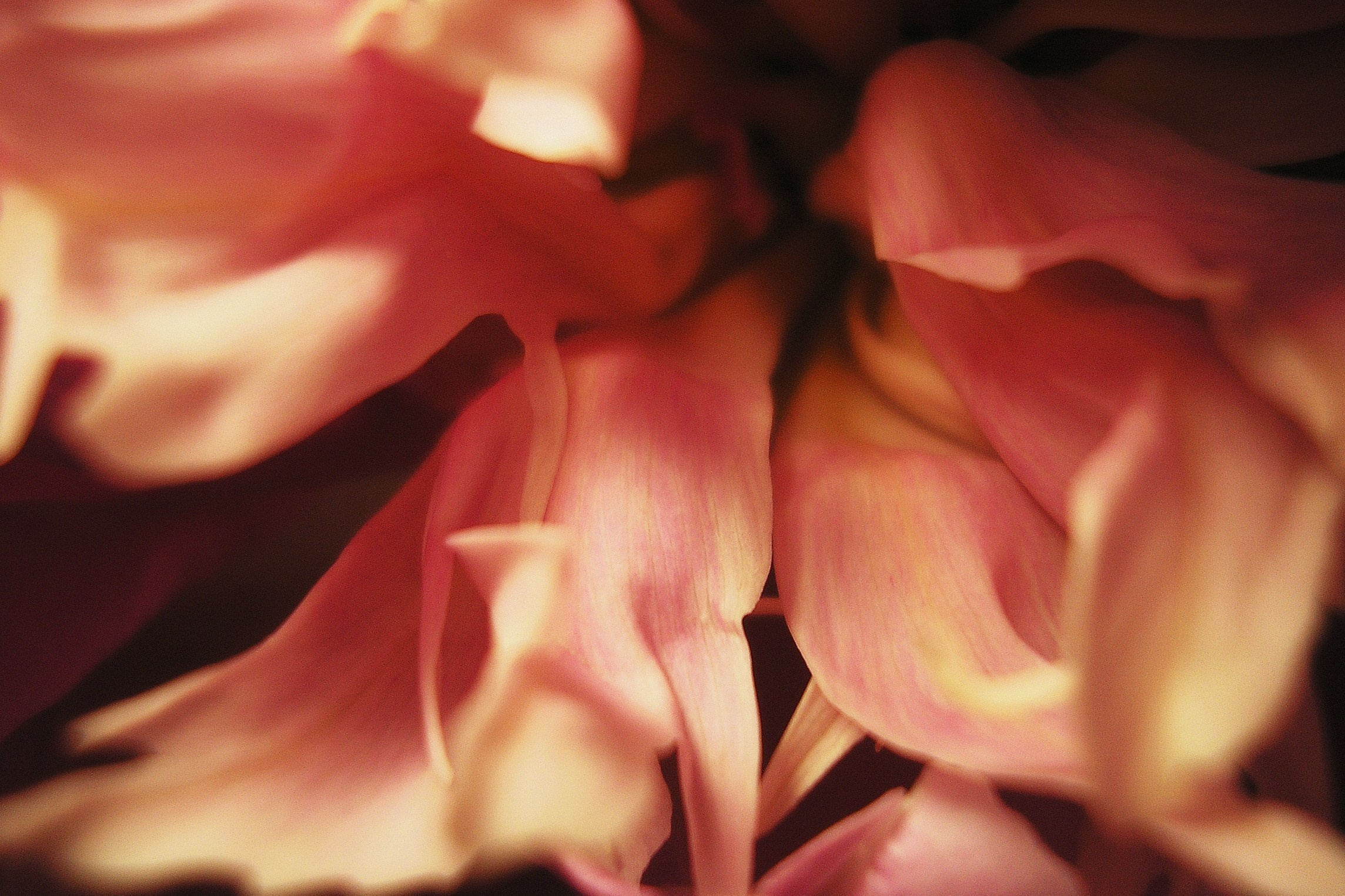 Фотограф Константин Ясинский