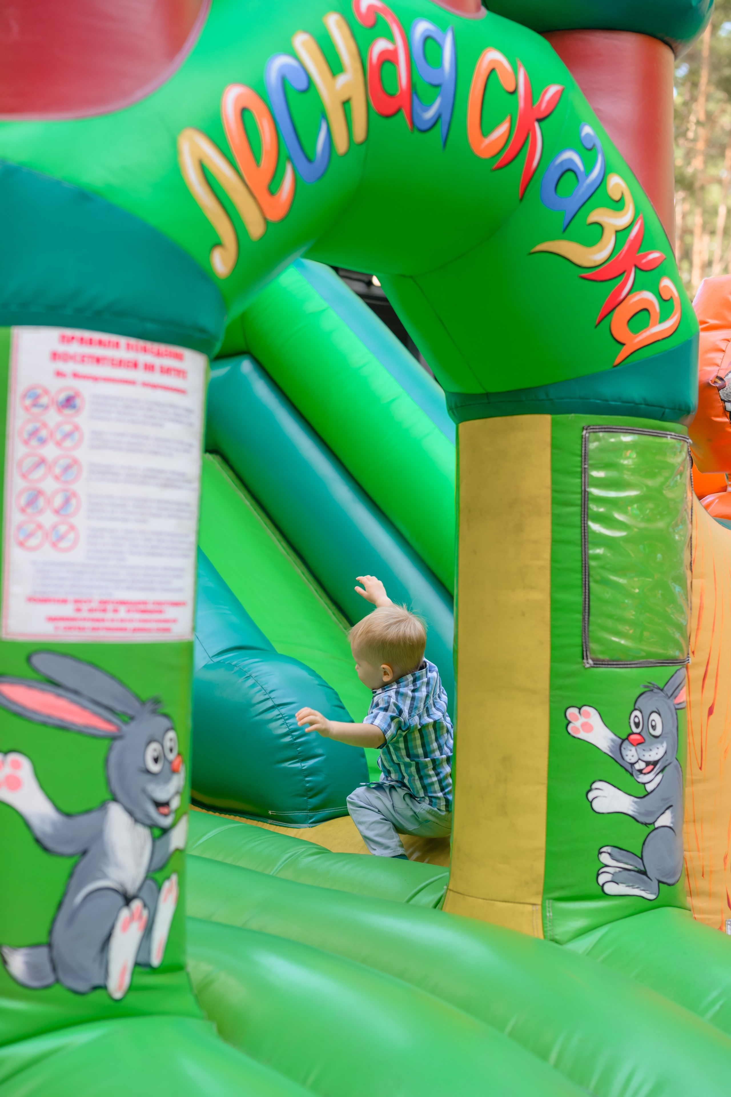 Лев 3 года. Семейный фотограф и анималист в Москве и Московской области