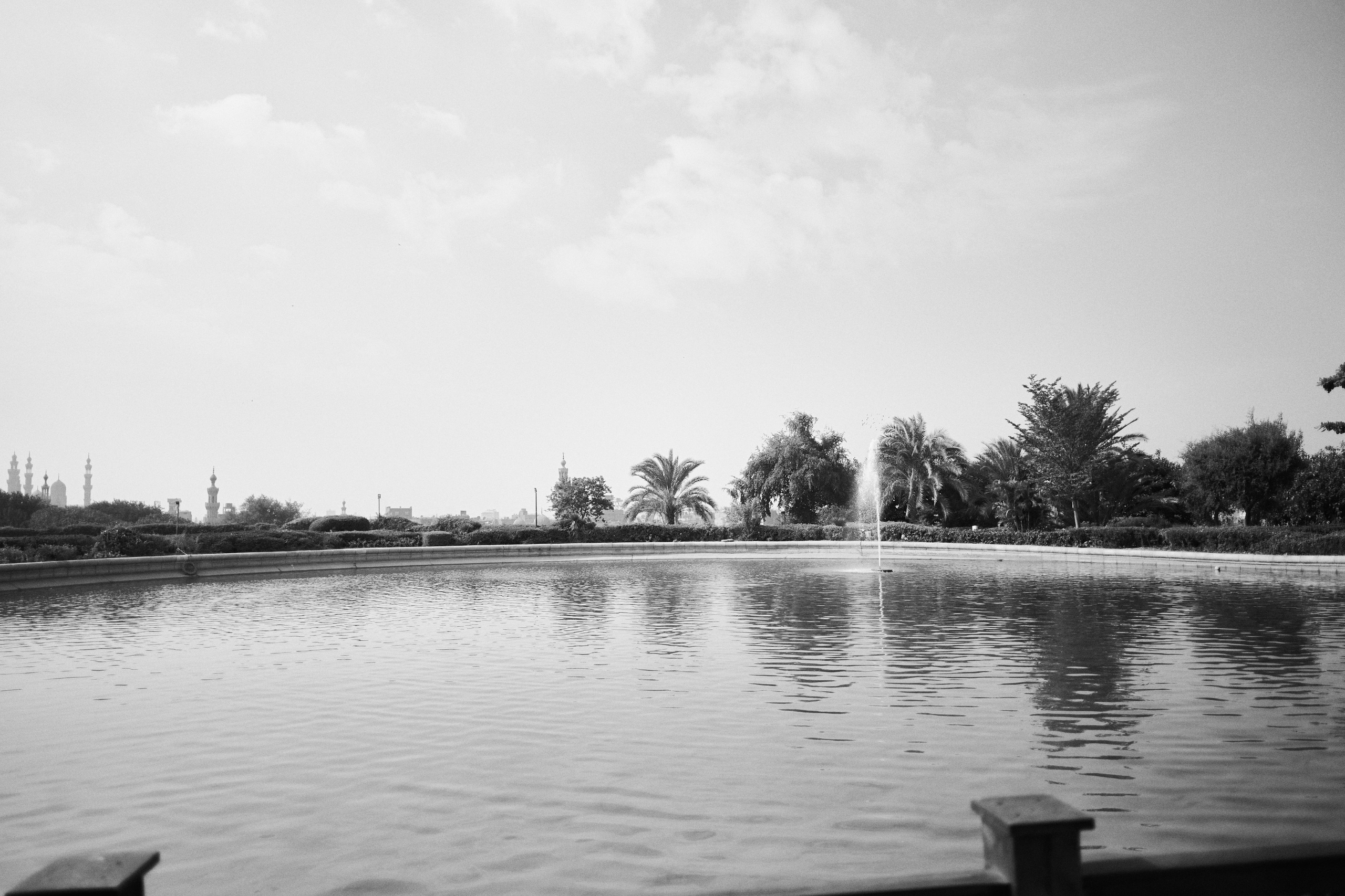 Другое 4. Jorgis — фотограф в Хургаде / обучение фотографии