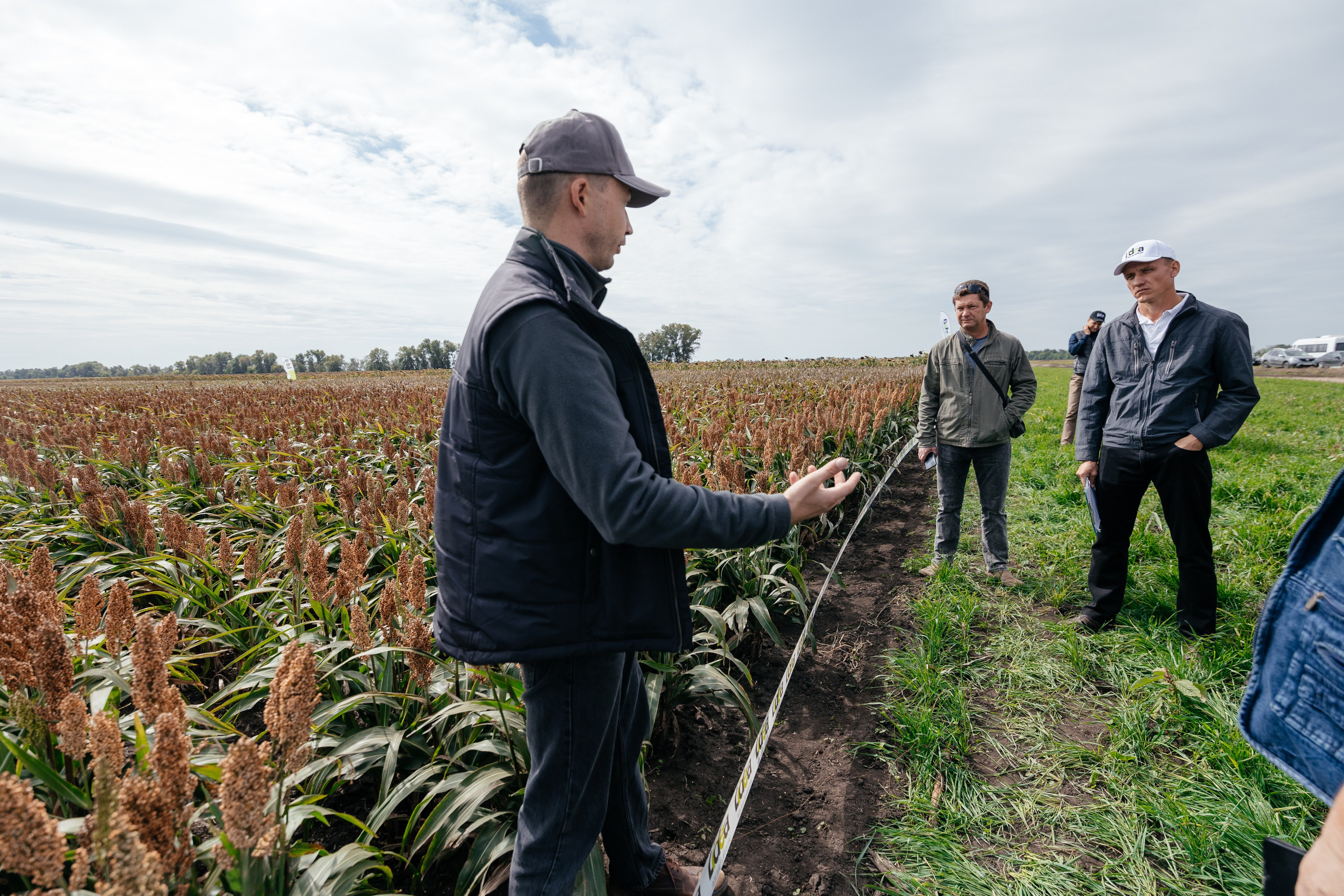 День поля. Фотограф Крохин Олег