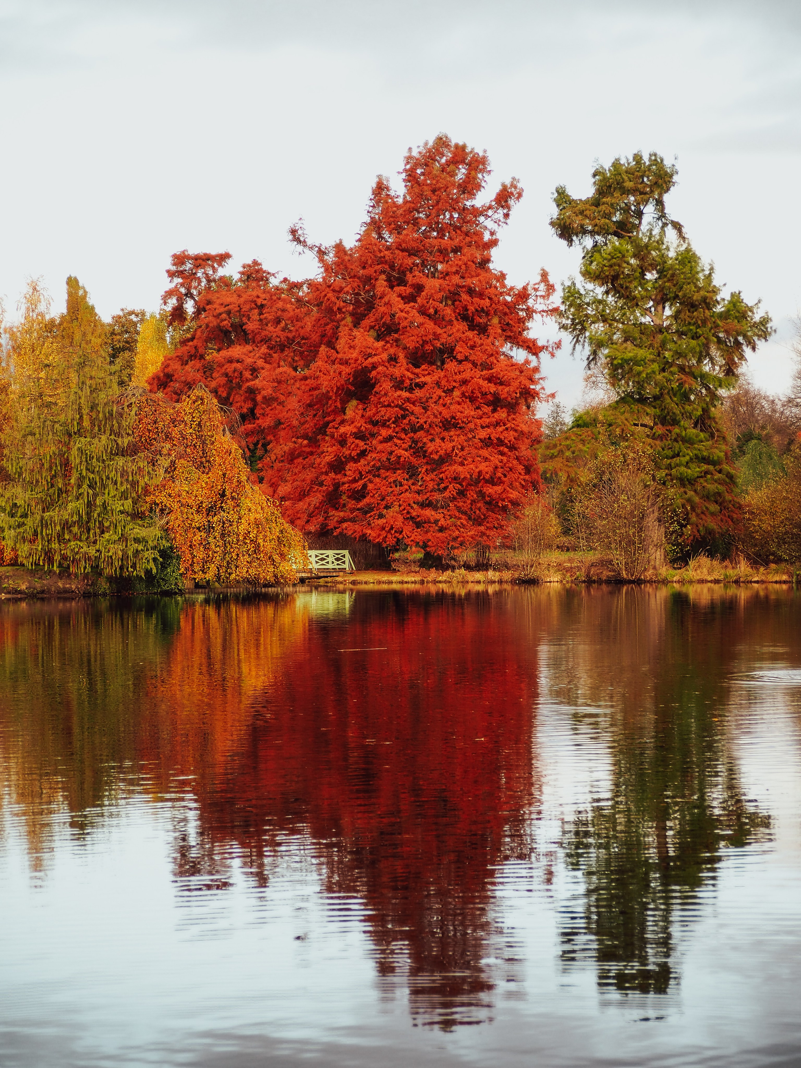 Осень в Потсдаме. Германия. Репортажный фотограф в Берлине Александра Герман