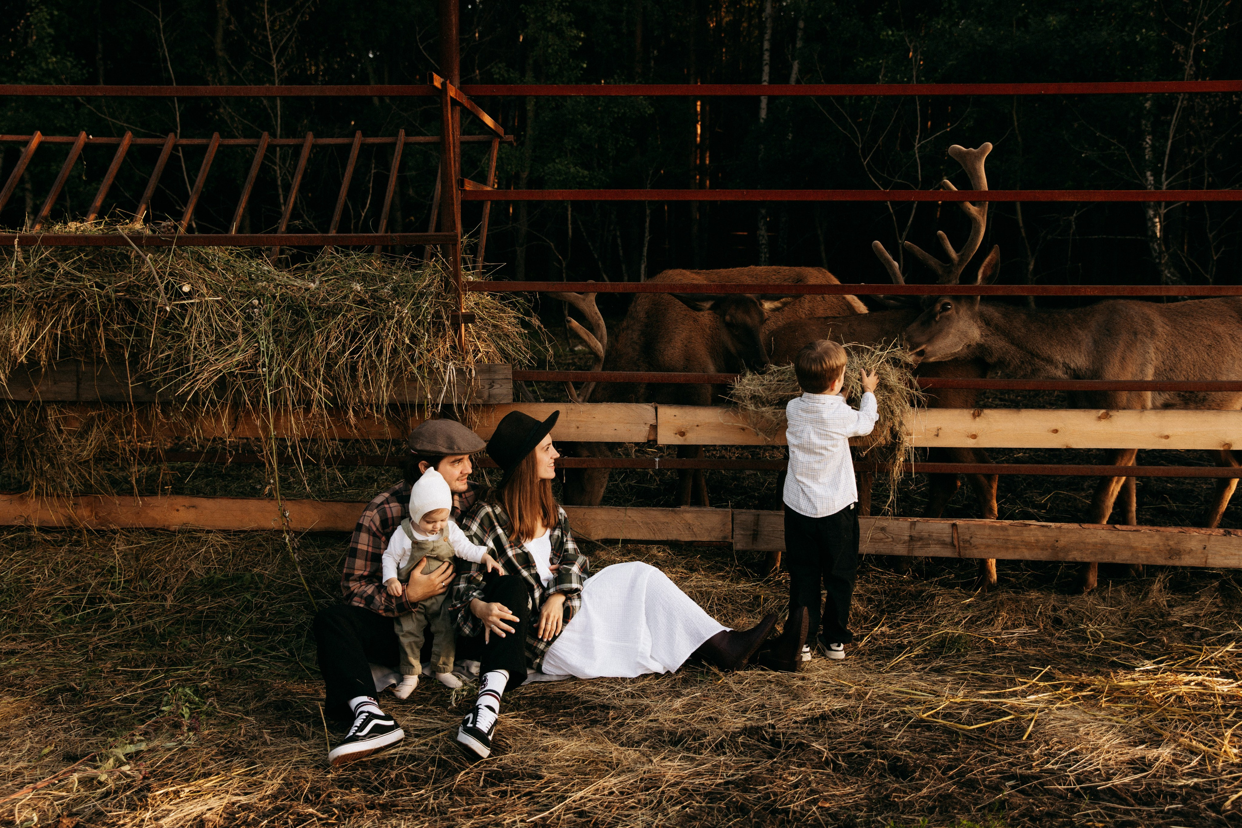 Ранчо. Главная