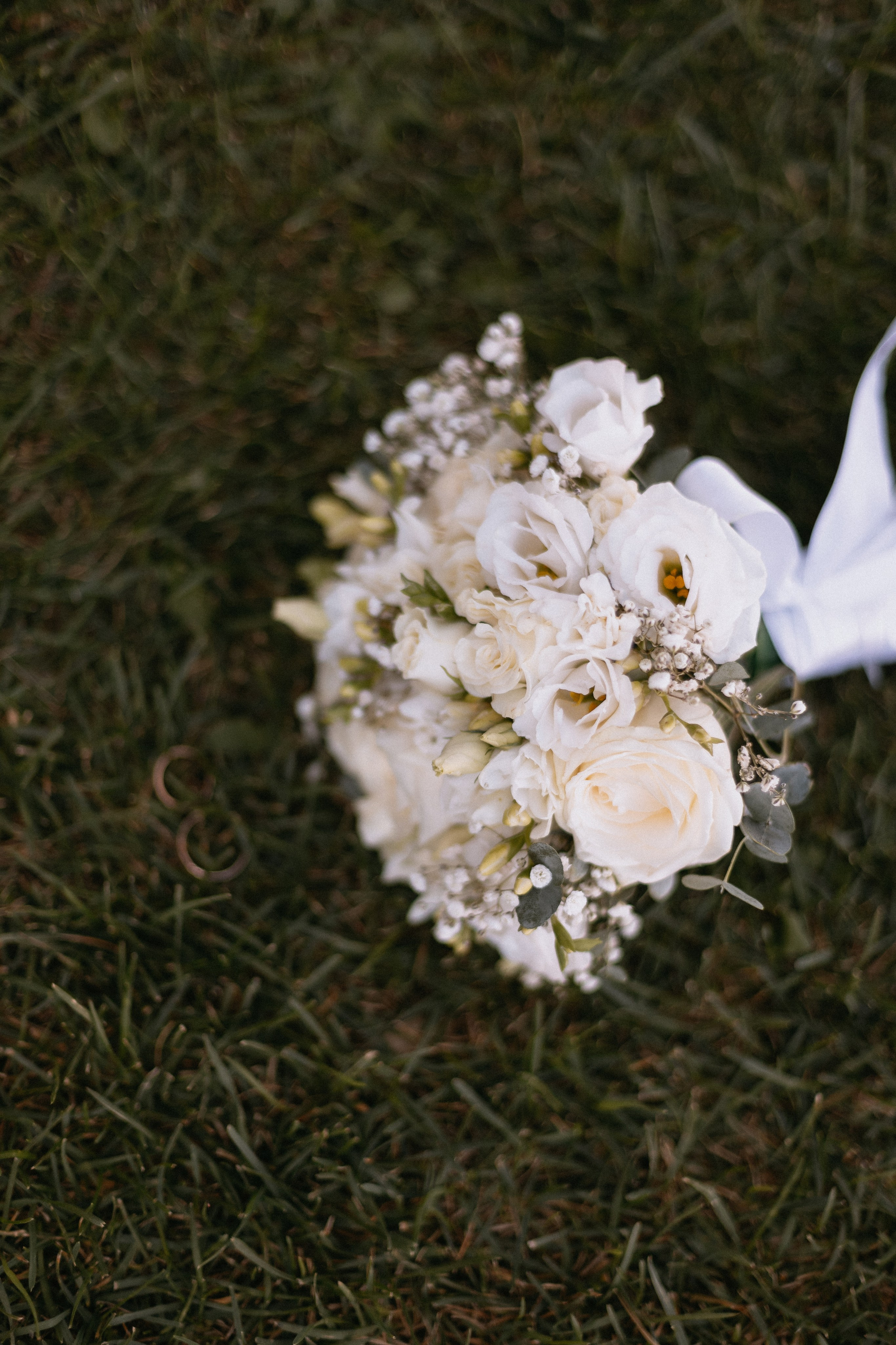 Алёна и Дима. Главная