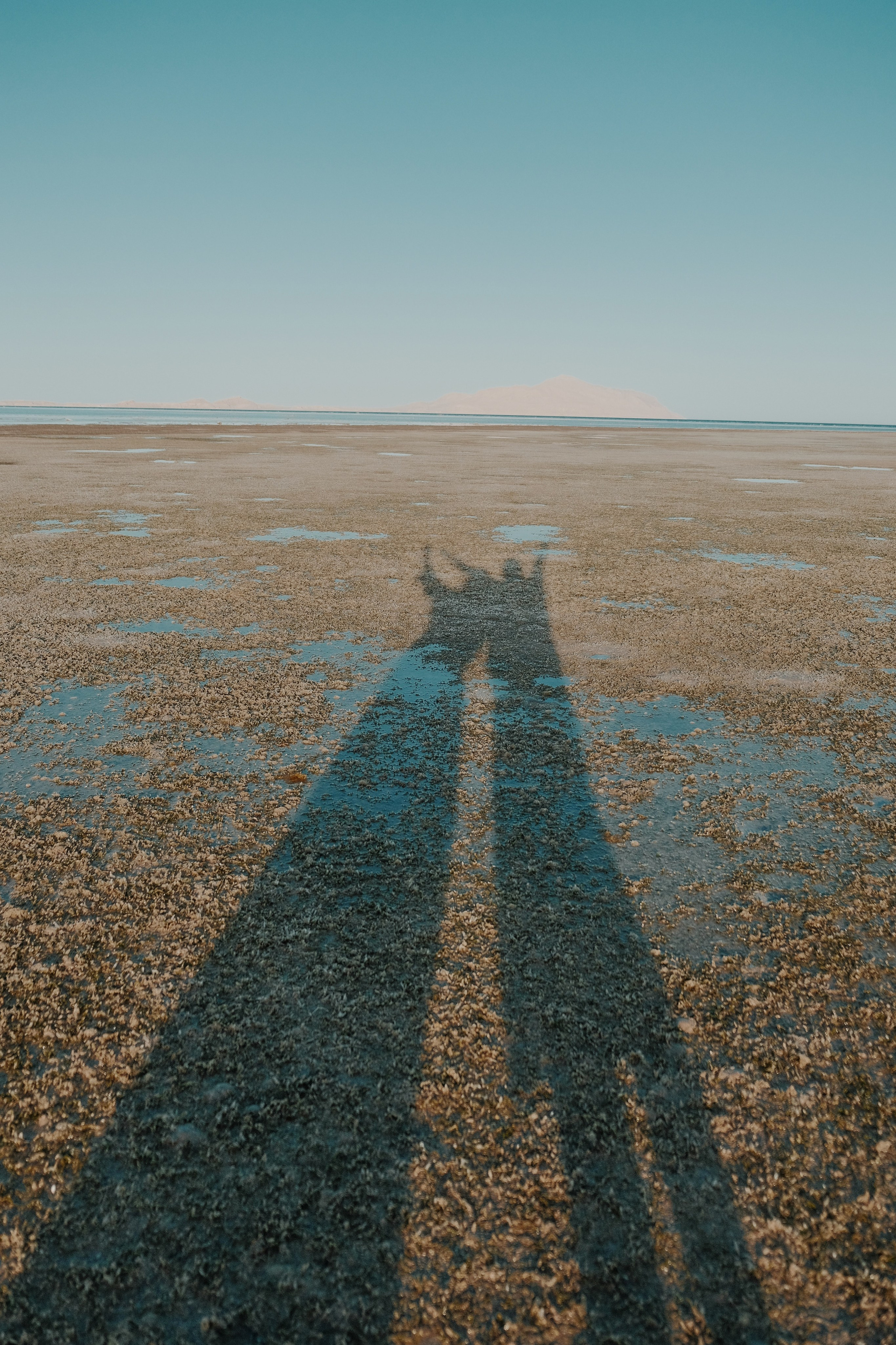 Шарм — эль — Шейх. Персональный фотограф Москва