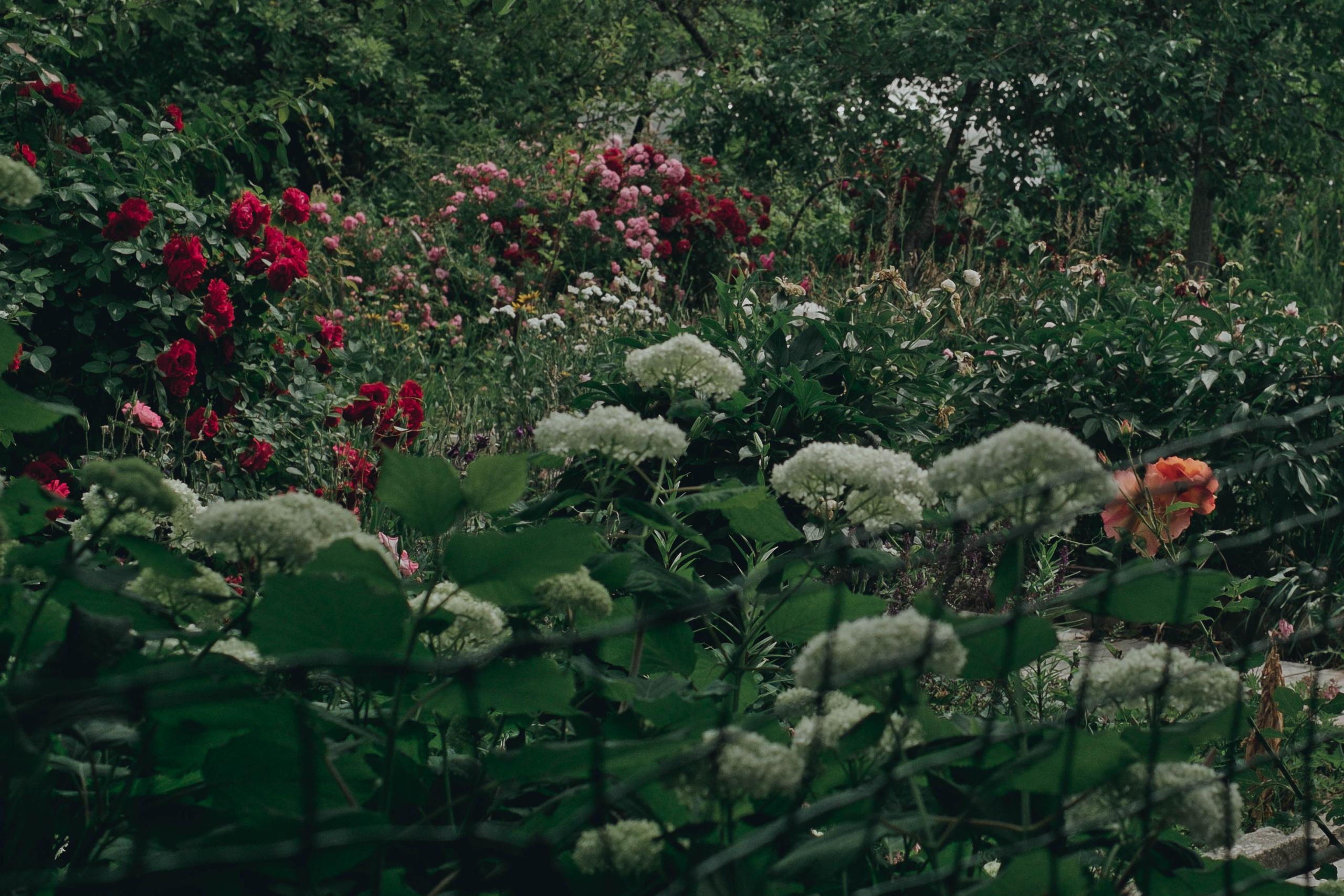 Фотограф в Нижнем Новгороде Елена Лямина