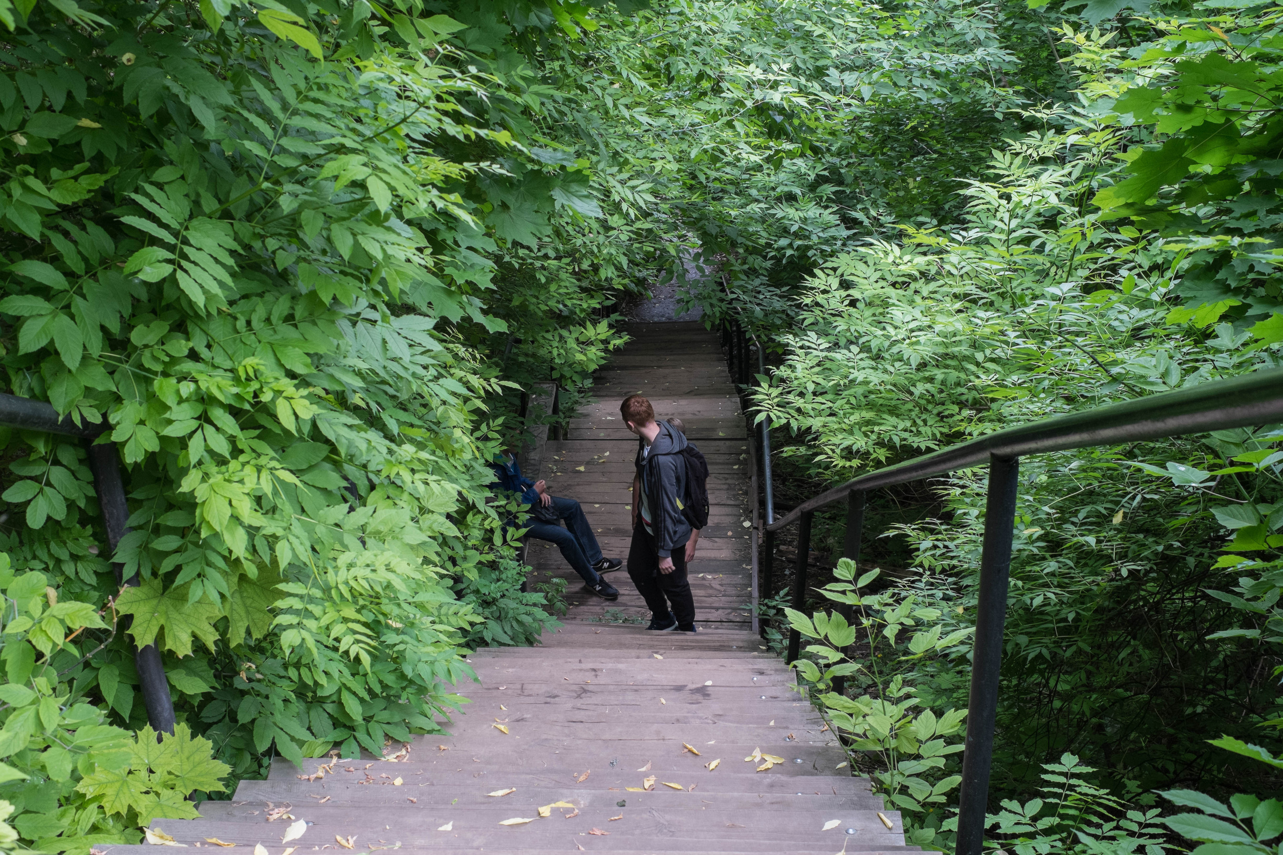 About Nizhny Novgorod. Photographer from Nizhny Novgorod Lyamina Elena