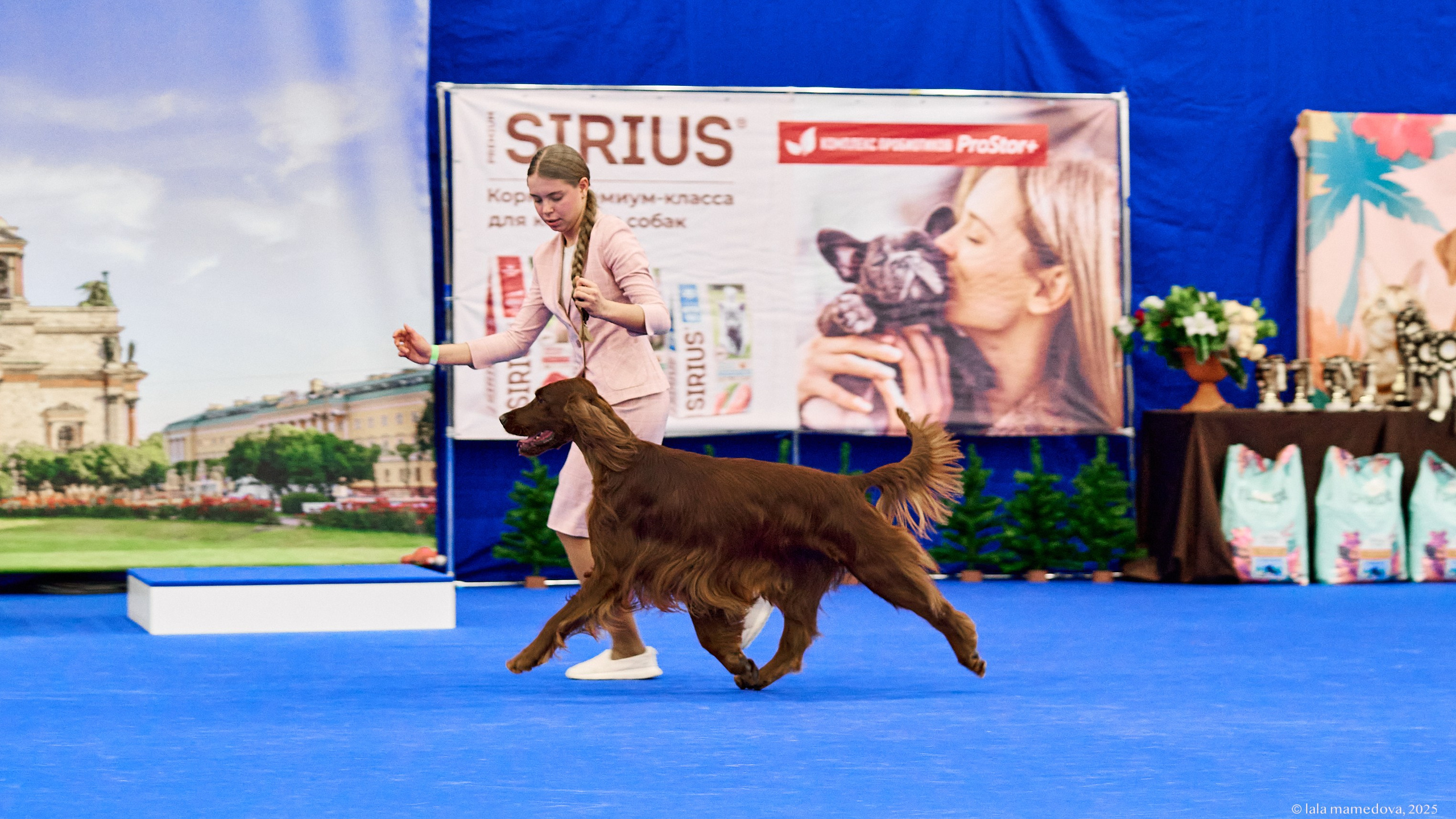 22-23 FEB 2025 | NATIONAL DOG SHOW «BALTIC TRIUMPH-2025»