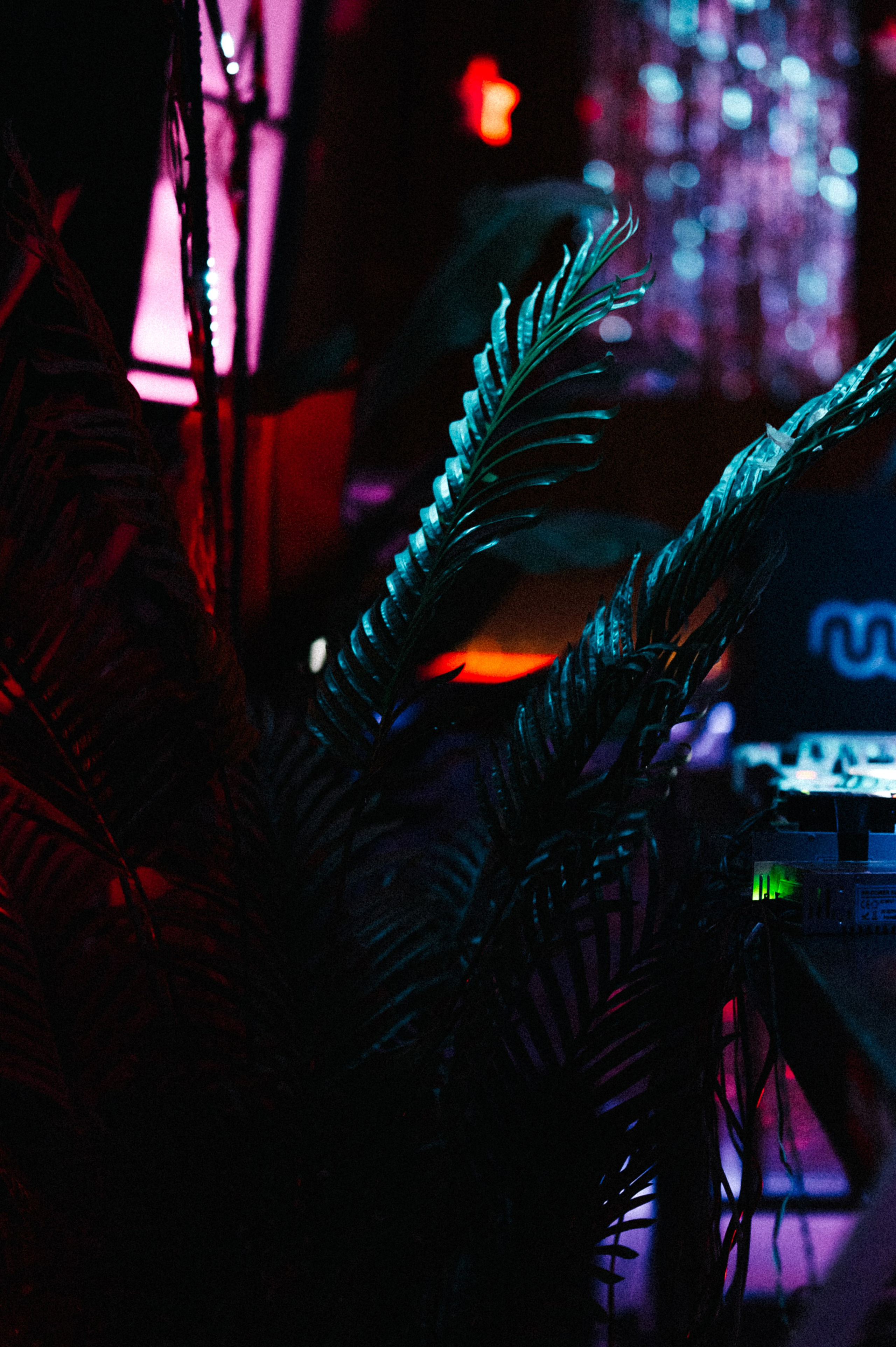 Face to face, ВОЛНА. Свадебный и семейный фотограф в Ростове-на-Дону Алина Астахова