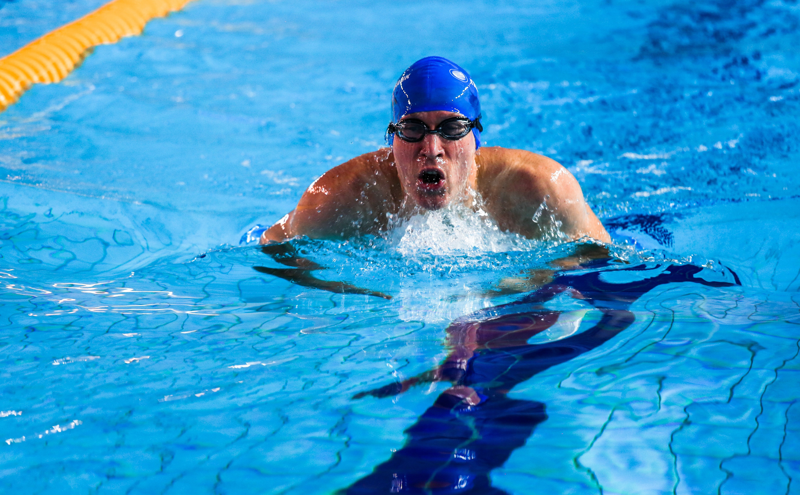 Соревнования по плаванию. Репортажный, семейный, свадебный, портретный фотограф