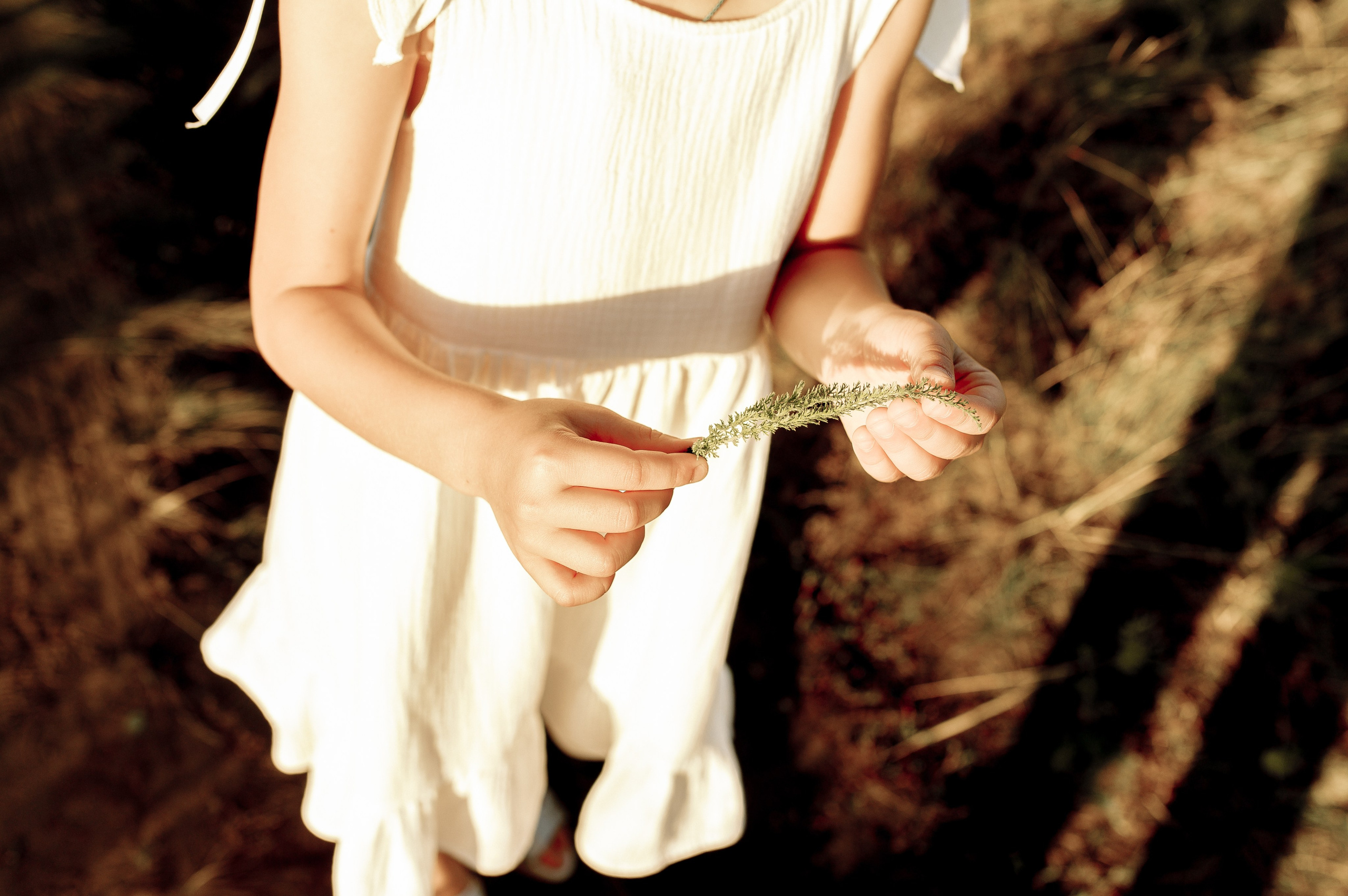 Августовские прогулки. Фотограф Мария Стрелкова