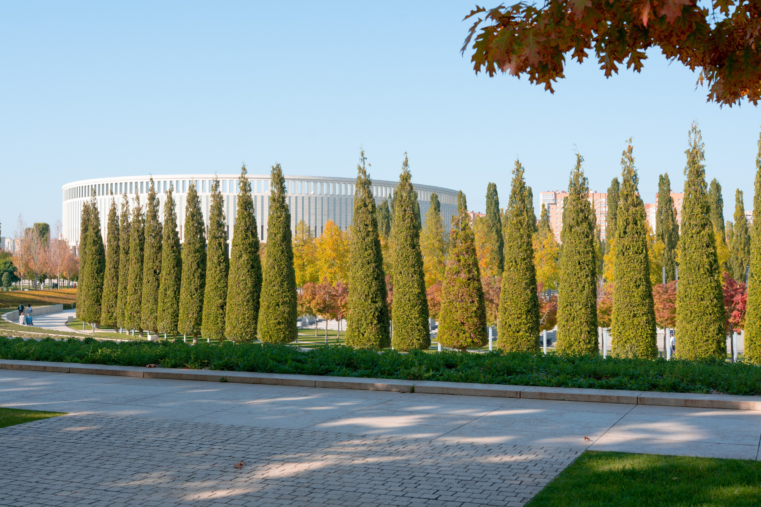 Парк Краснодар. 35 мм