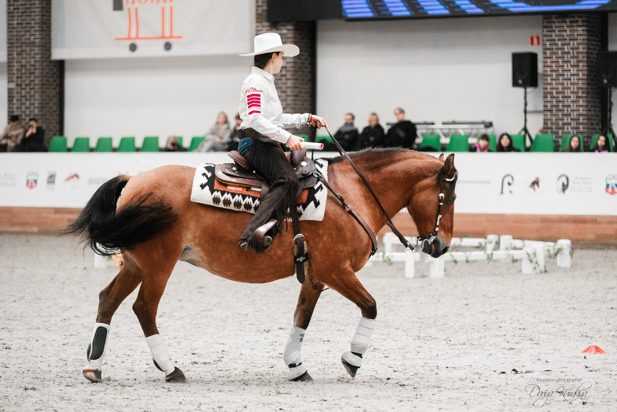 8-я международная выставка Конная Россия. Конный фотограф Куракина Дарья • Фотосессии с лошадьми